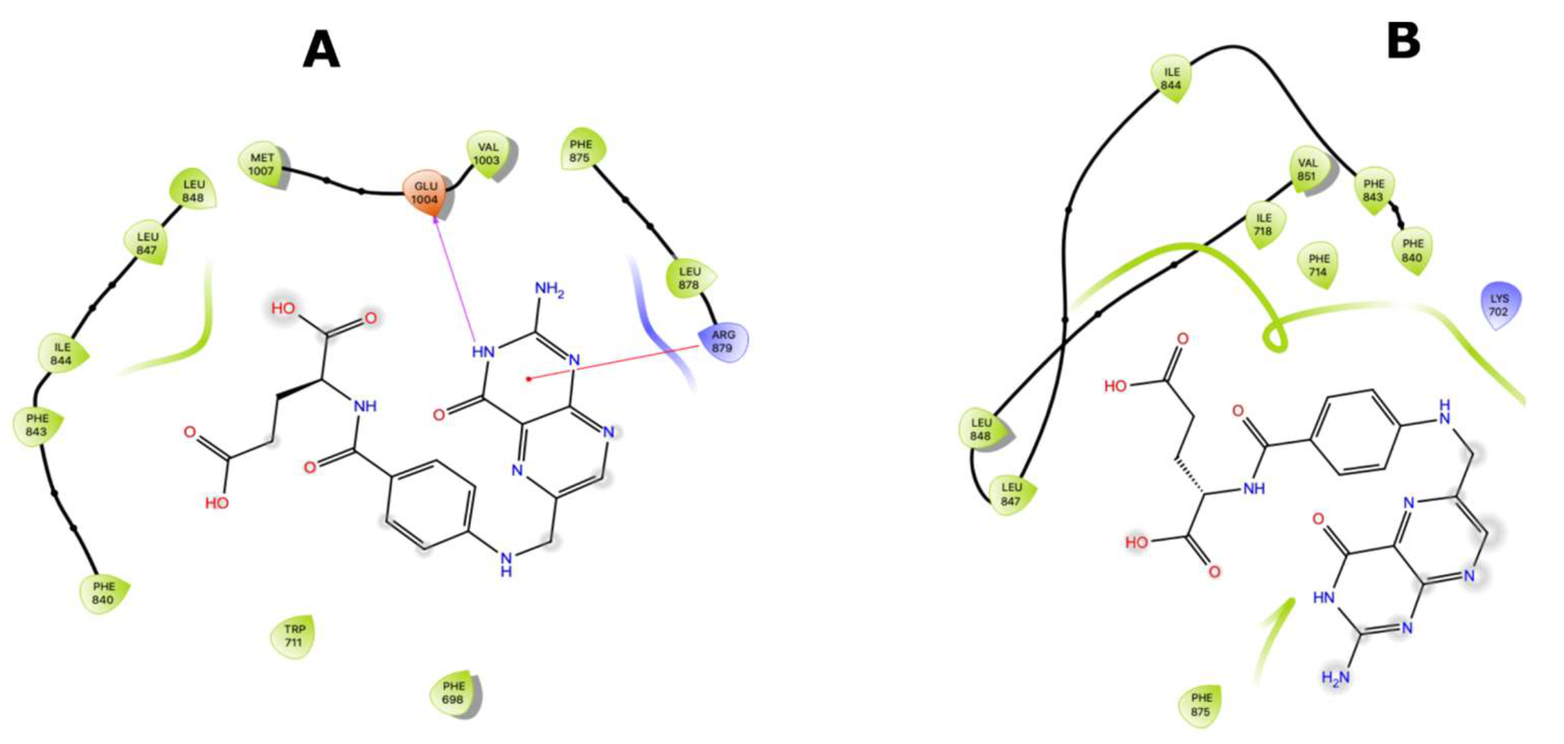 Molecules 26 01051 g009