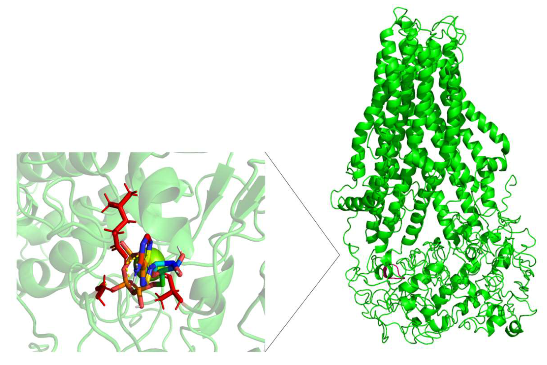 Molecules 26 01051 g011