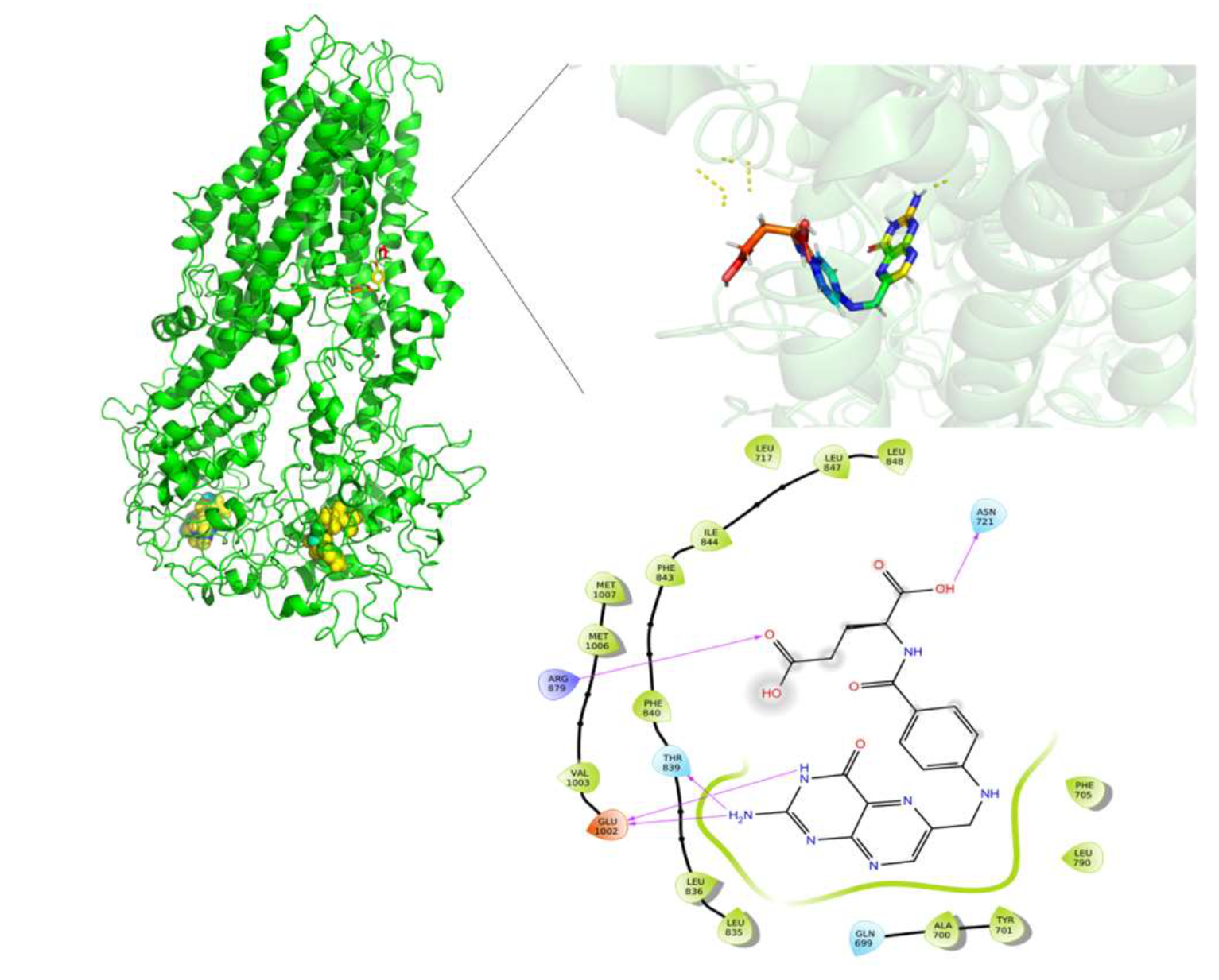 Molecules 26 01051 g013
