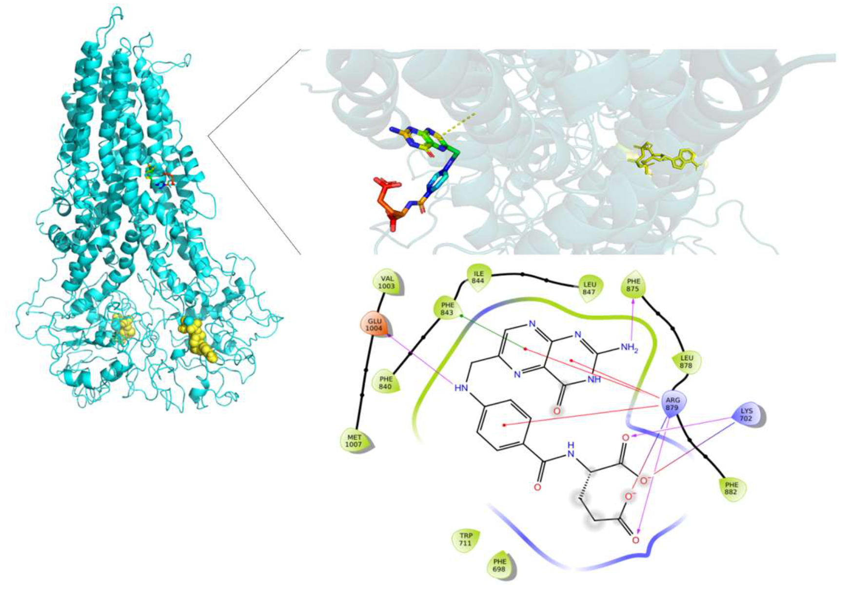 Molecules 26 01051 g014