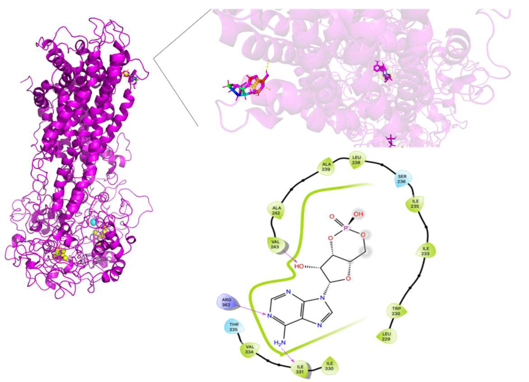 Molecules 26 01051 g016
