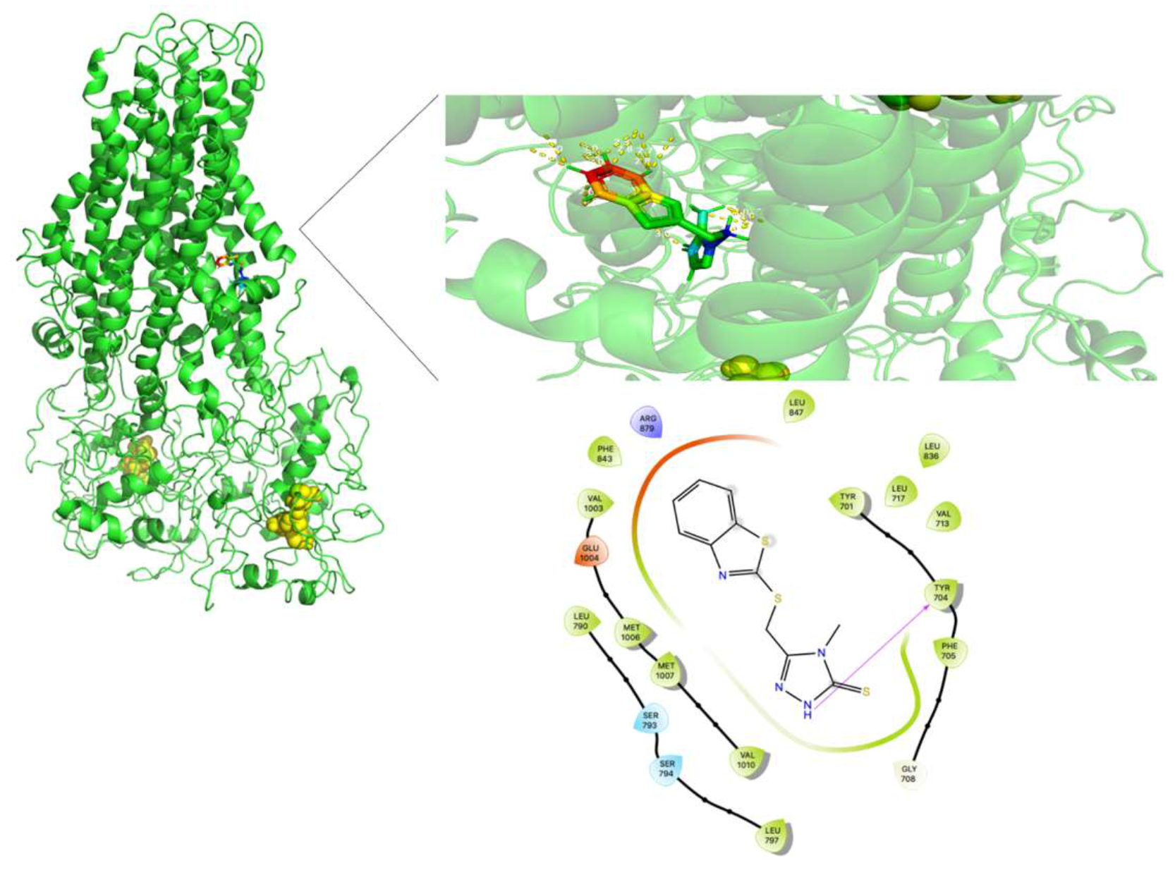 Molecules 26 01051 g017