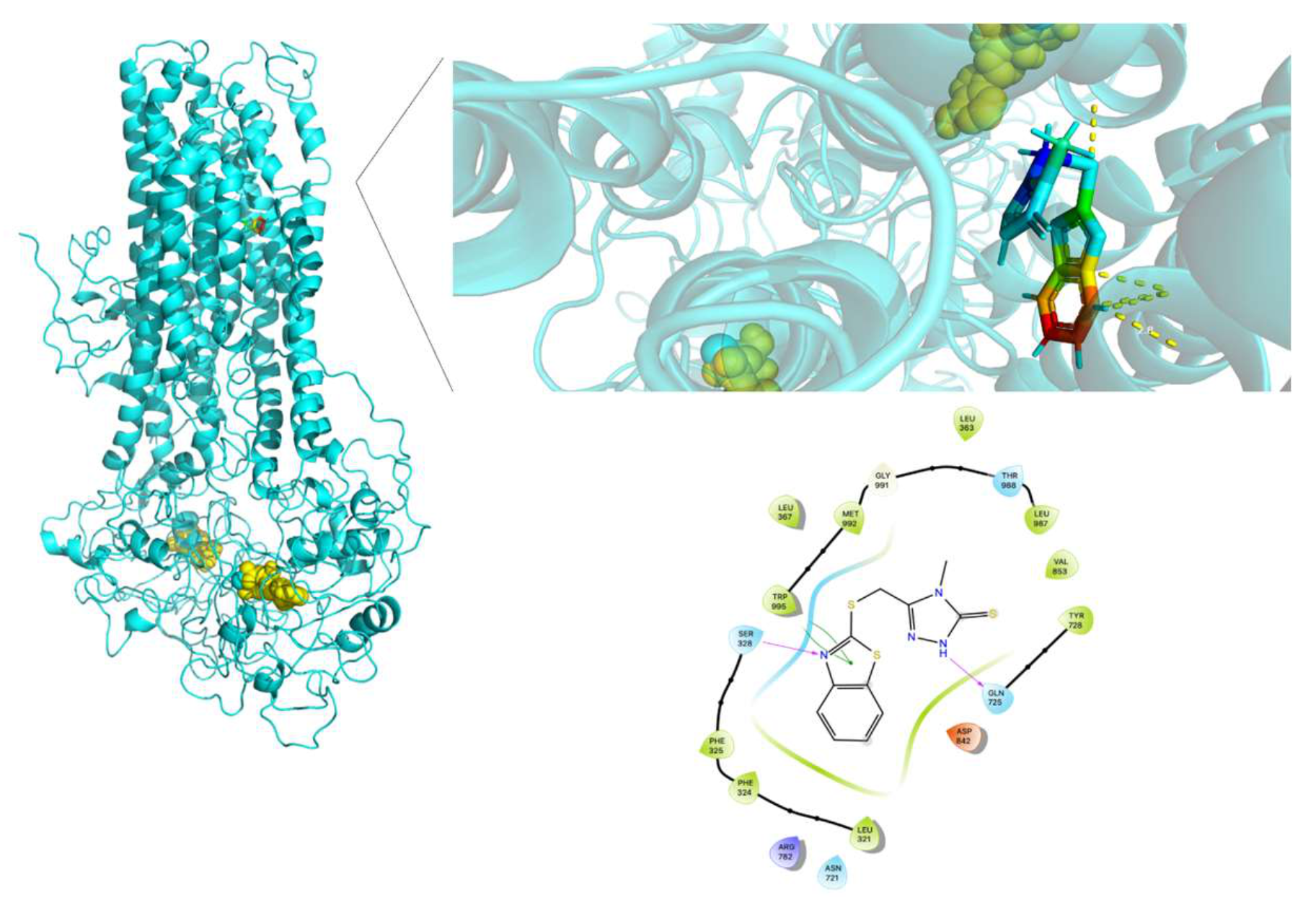 Molecules 26 01051 g018