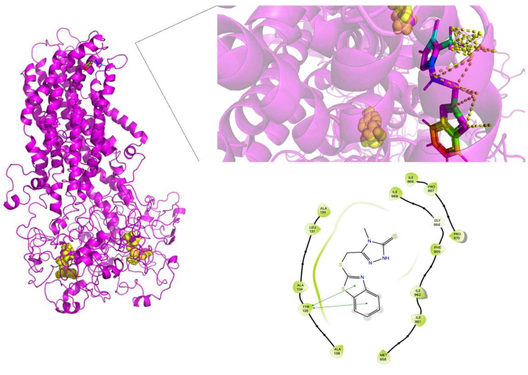 Molecules 26 01051 g019
