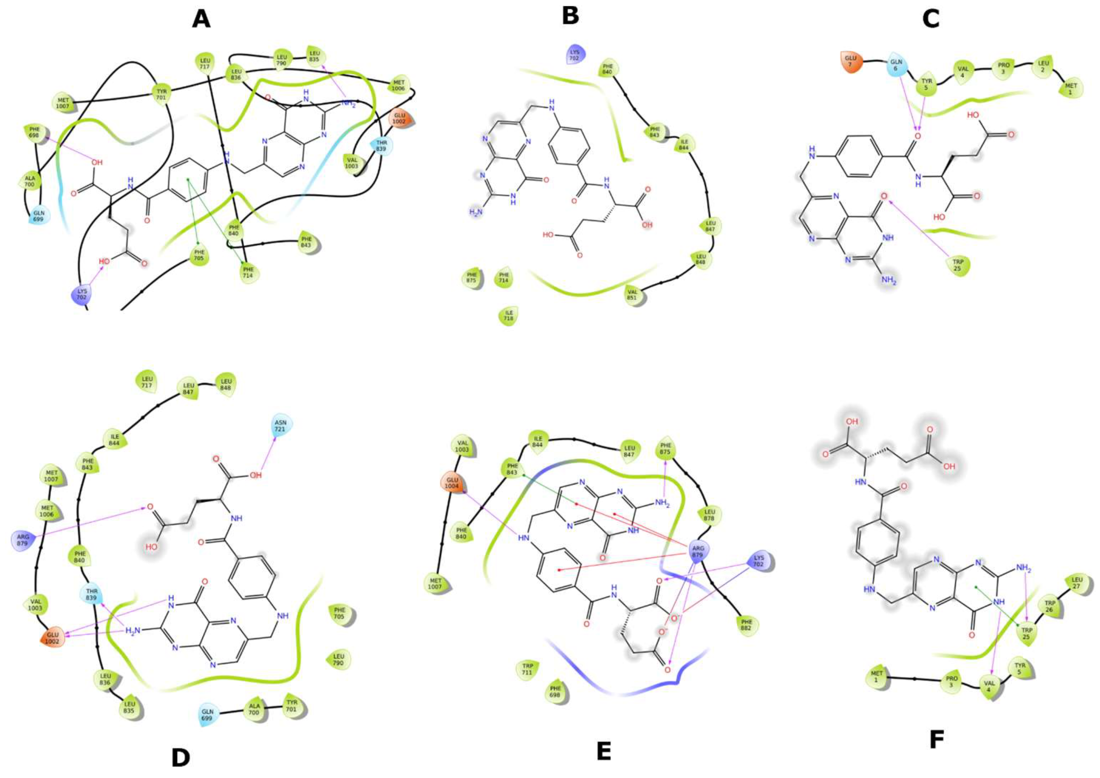 Molecules 26 01051 g020