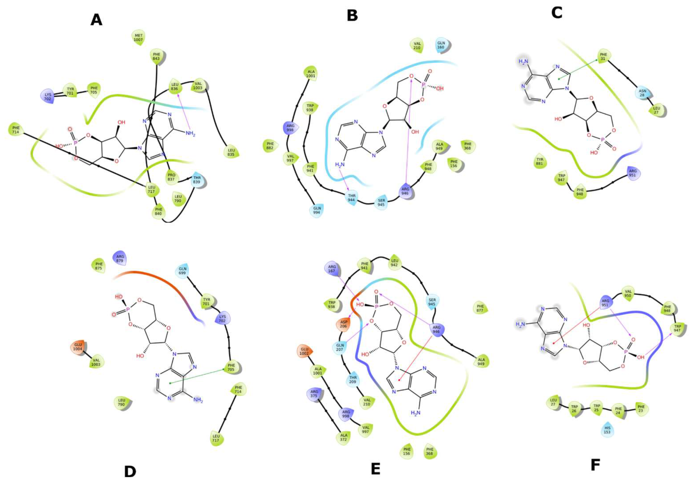 Molecules 26 01051 g021