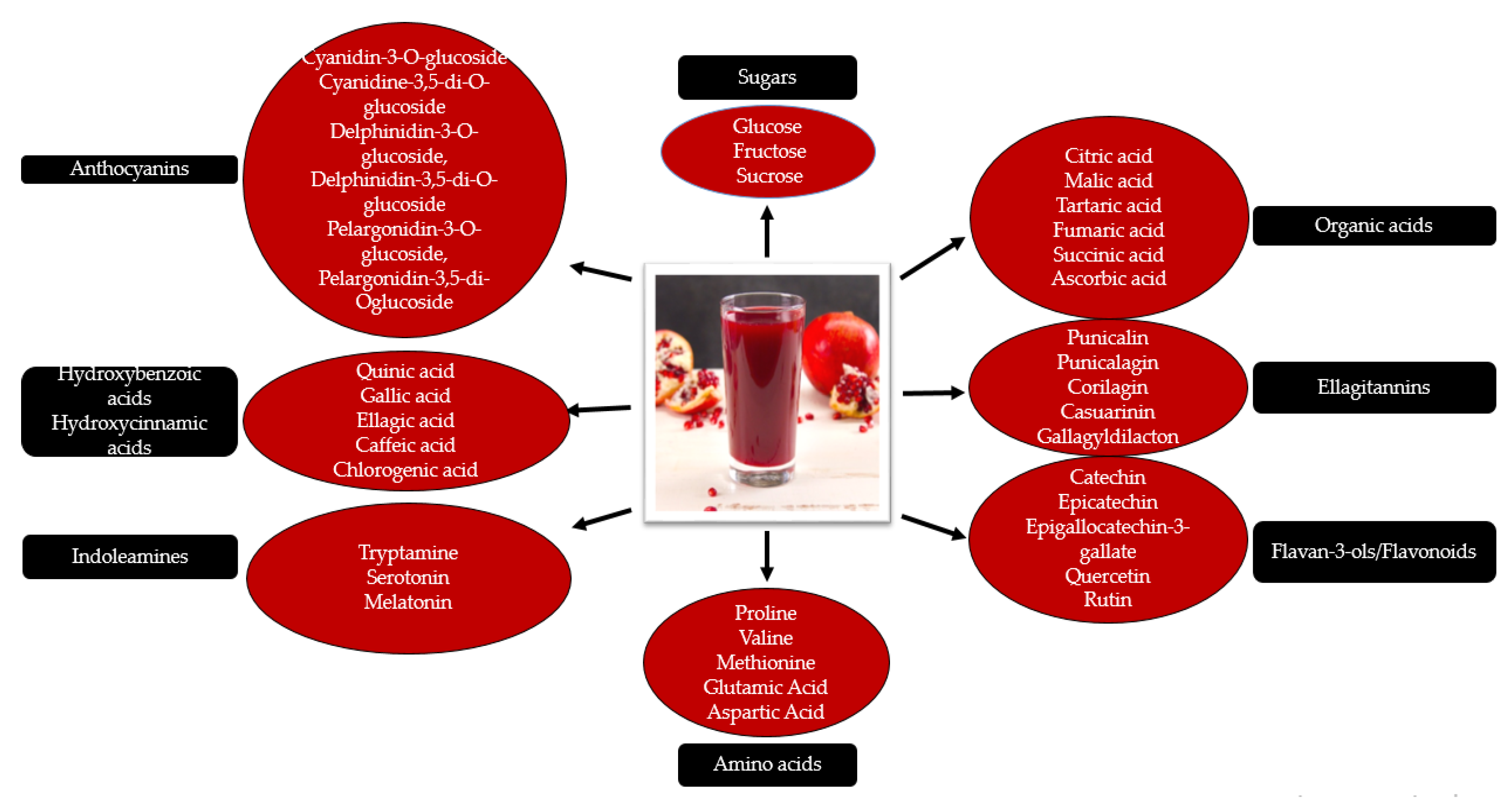 Molecules 26 01054 g003