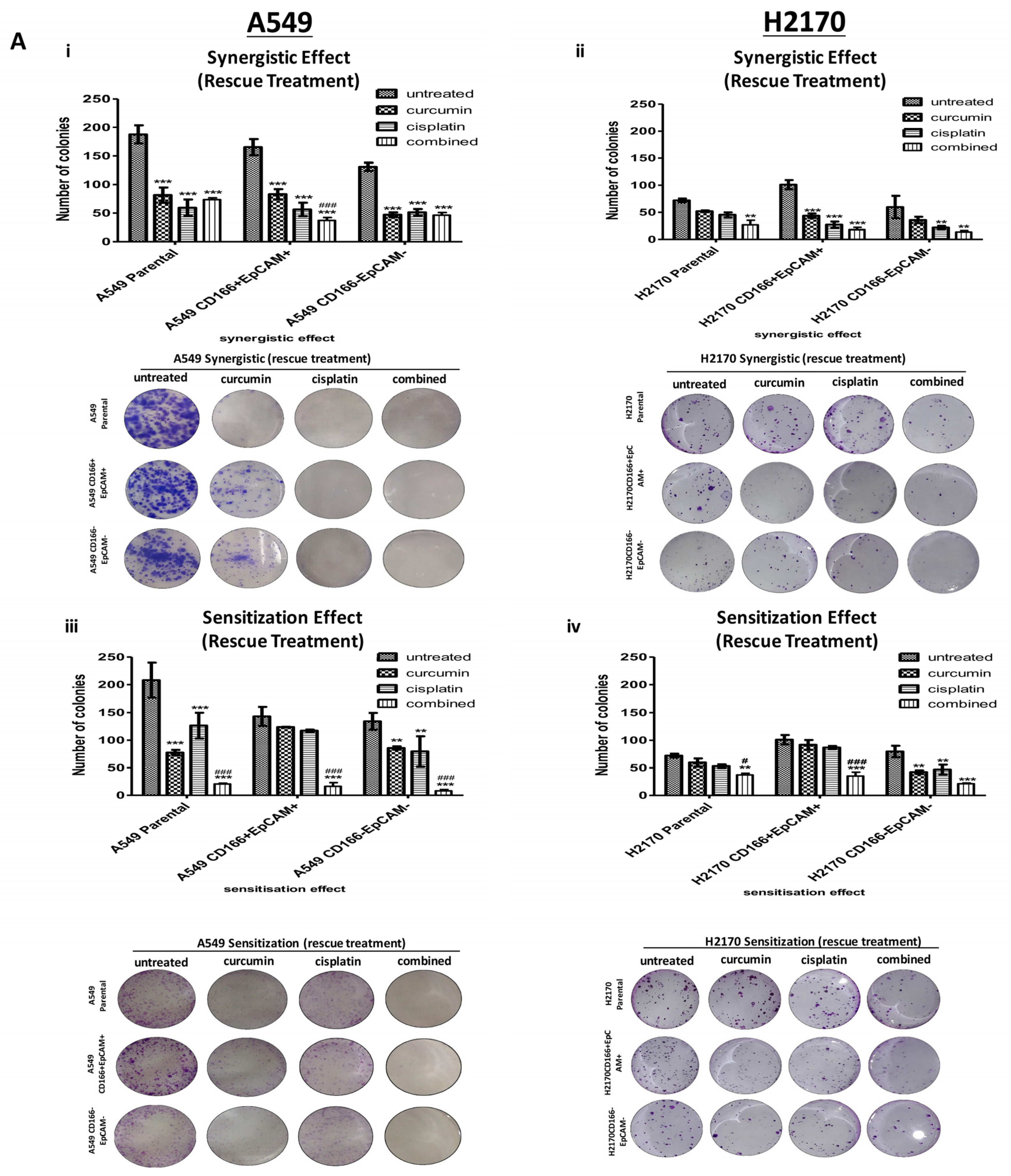 Molecules 26 01056 g003a Molecules 26 01056 g003a