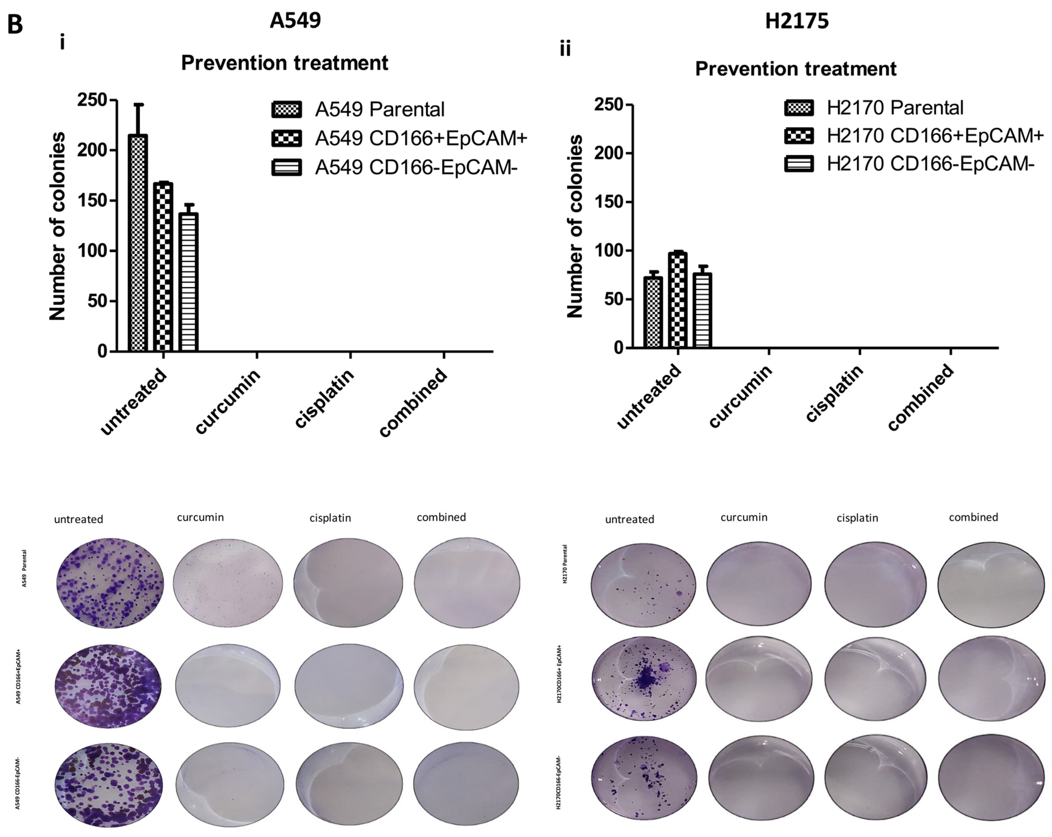 Molecules 26 01056 g003b Molecules 26 01056 g003b