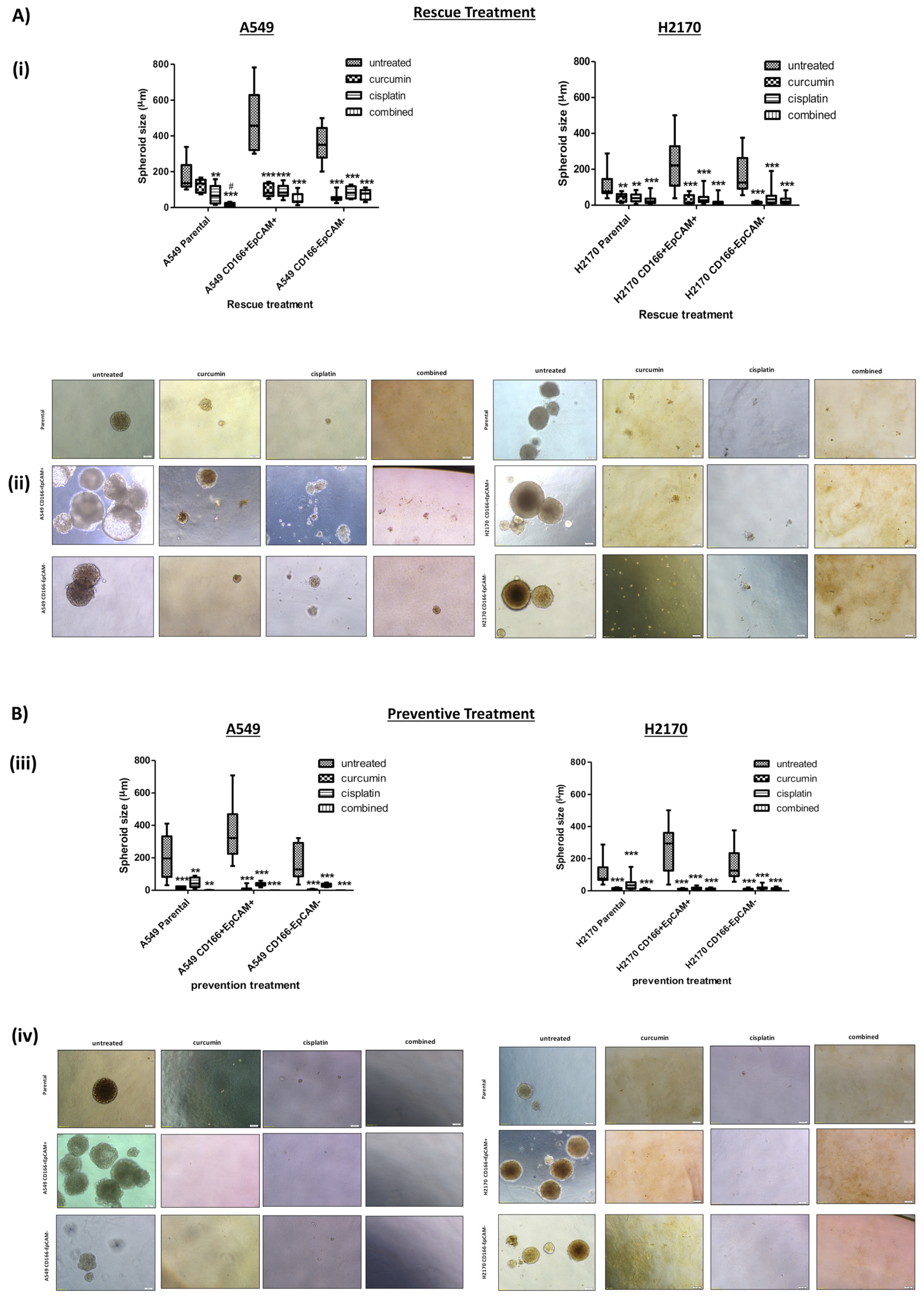 Molecules 26 01056 g004 Molecules 26 01056 g004