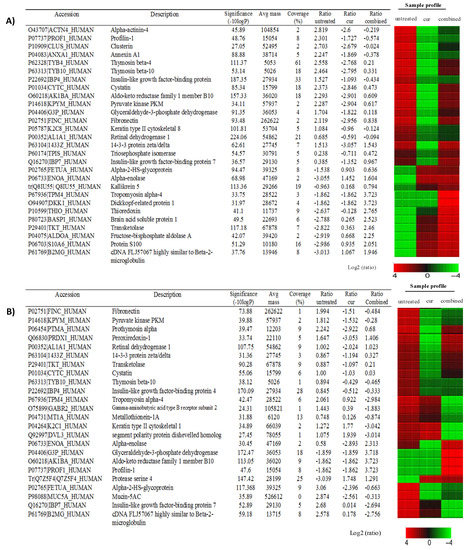 Synergistic Roles of Curcumin in Sensitising the Cisplatin Effect on a ...