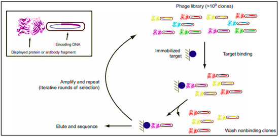 Molecules 26 01058 sch001 550