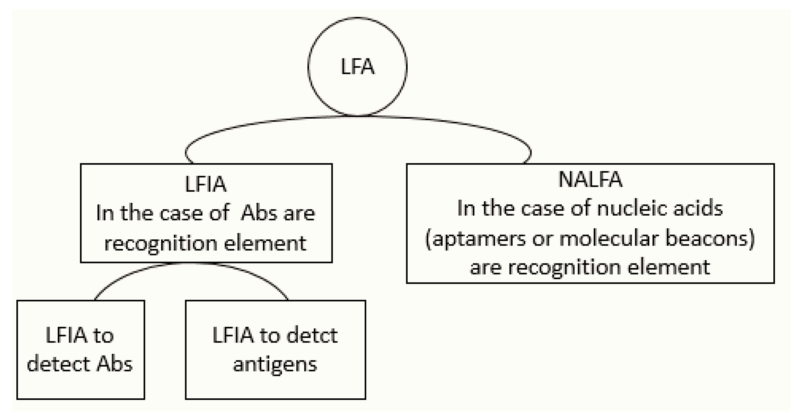 Molecules 26 01058 sch003 Molecules 26 01058 sch003