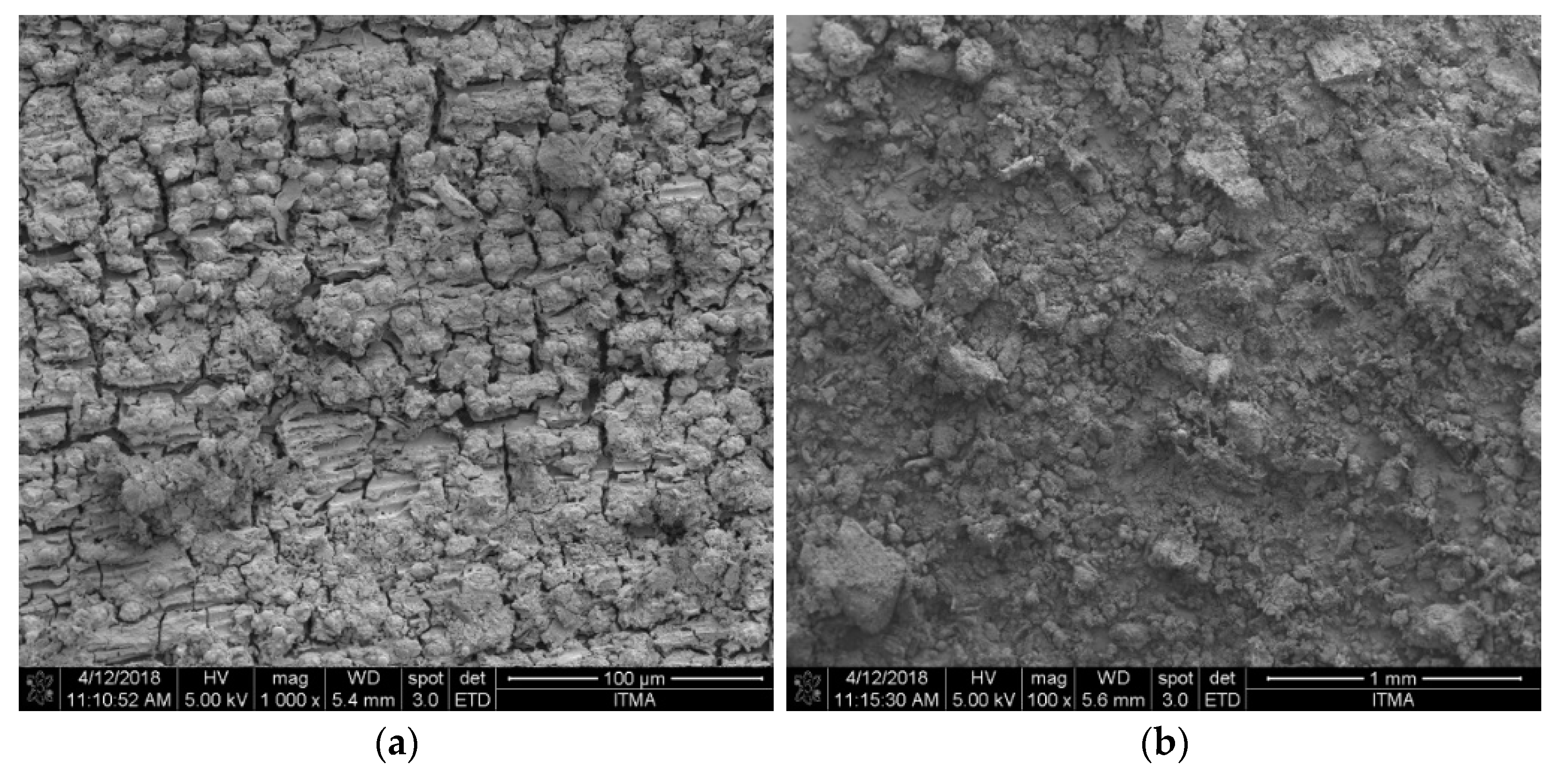 Molecules 26 01061 g002 Molecules 26 01061 g002