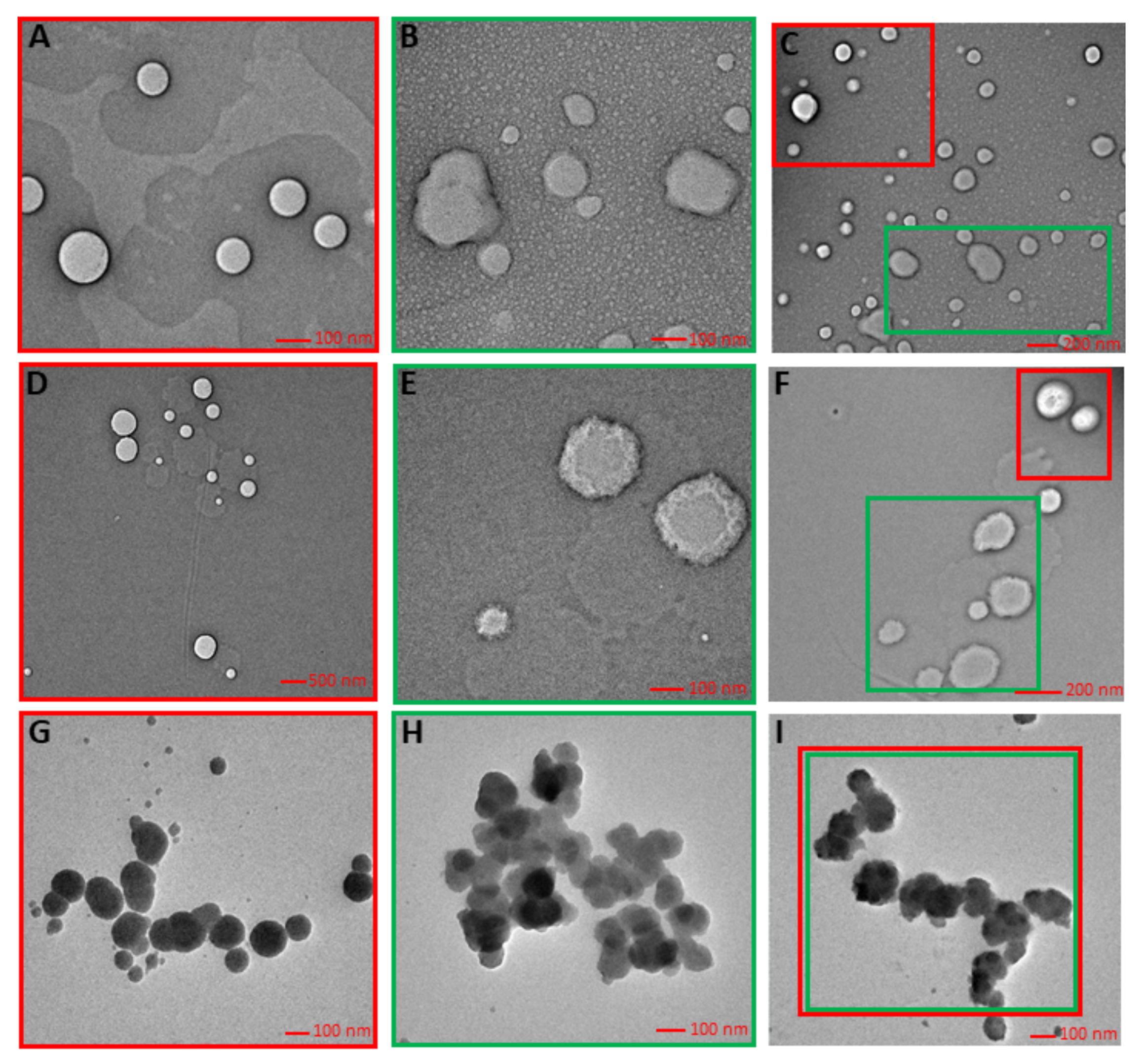 Molecules 26 01063 g002 Molecules 26 01063 g002