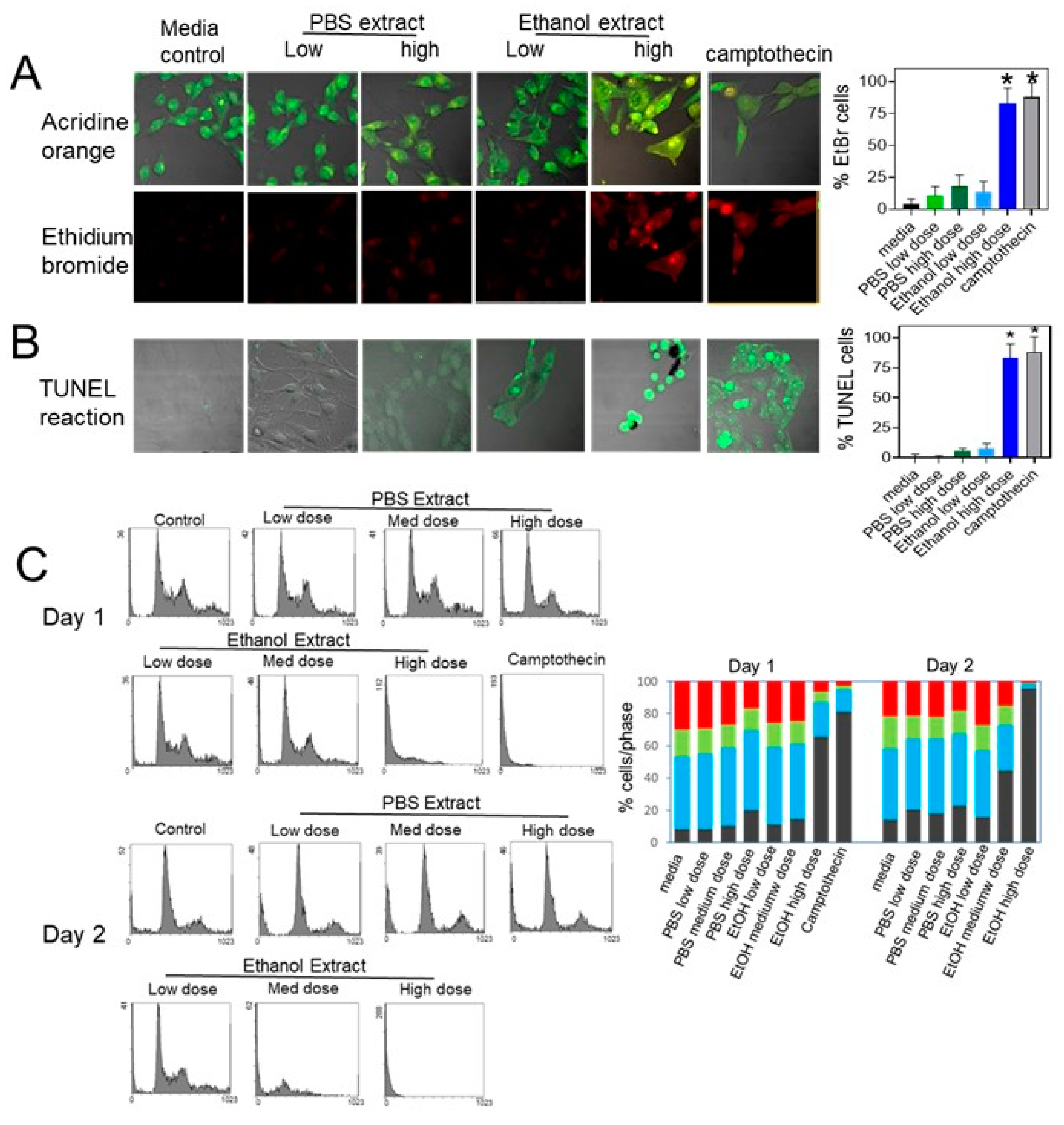 Molecules 26 01066 g003
