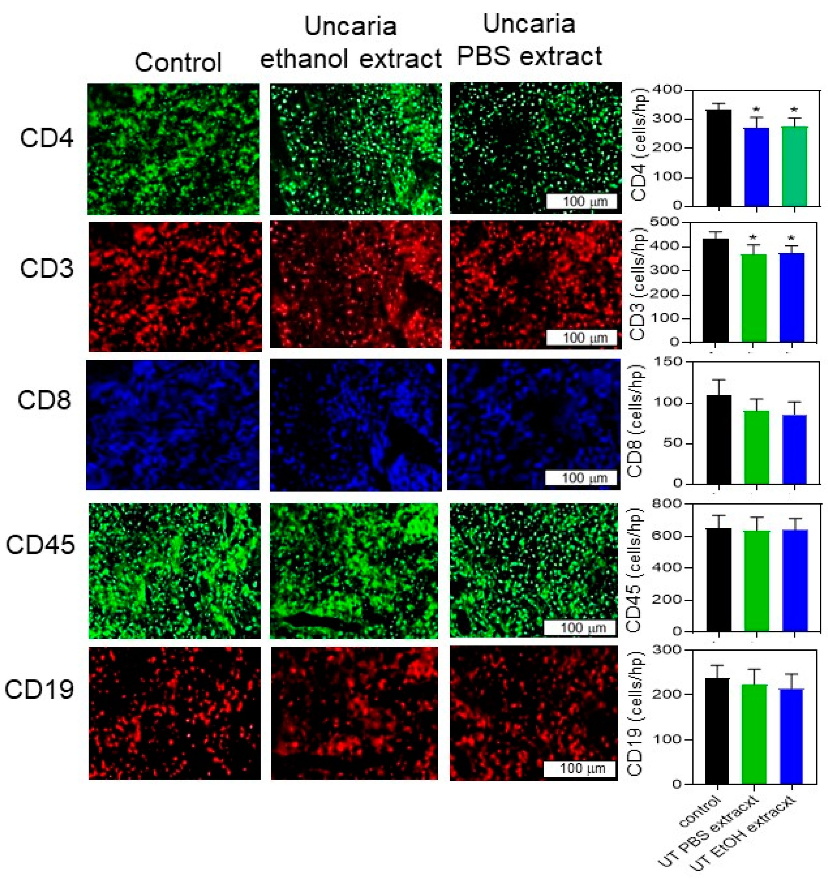 Molecules 26 01066 g007