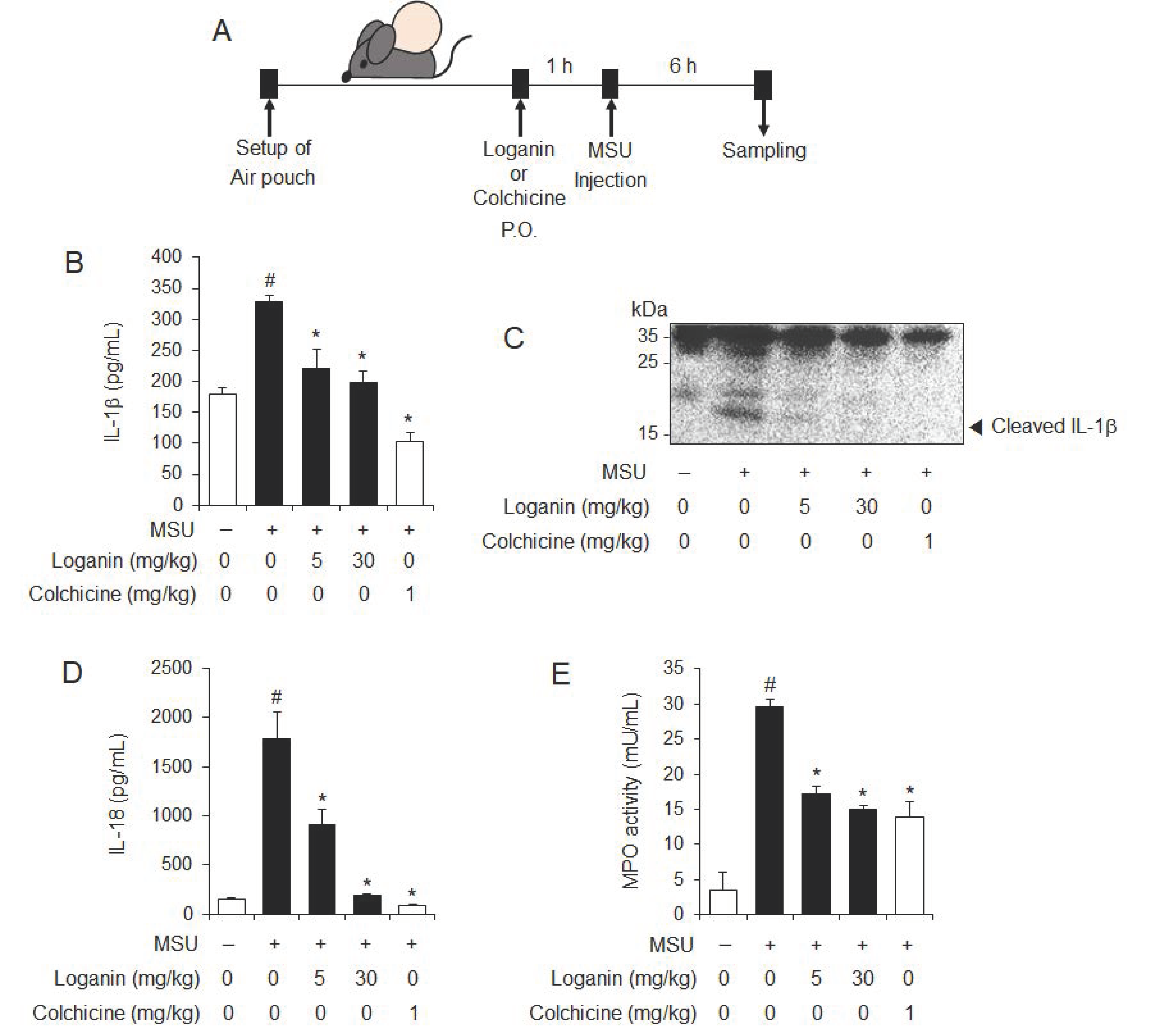 Molecules 26 01071 g002