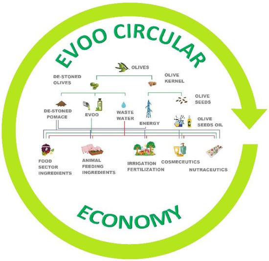 Molecules 26 01072 g002 550