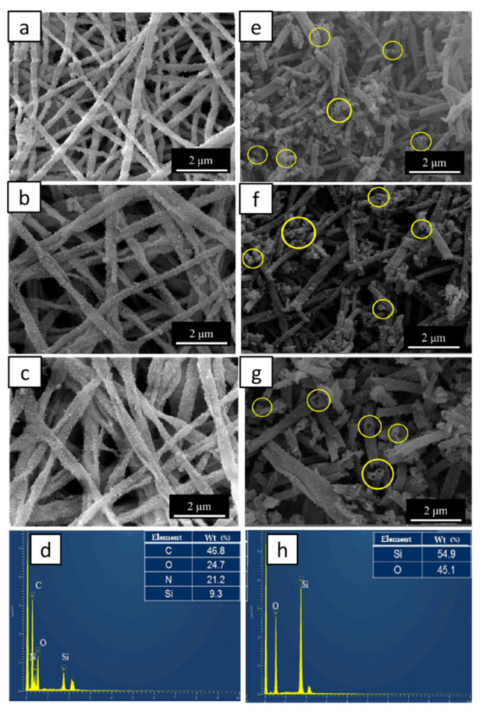 Molecules 26 01073 g003