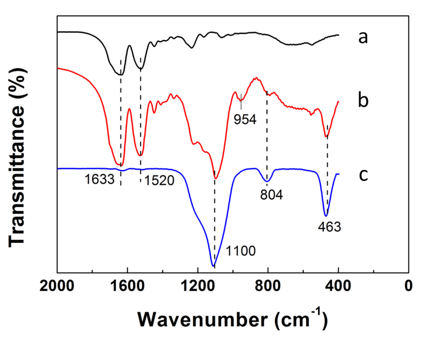 Molecules 26 01073 g004