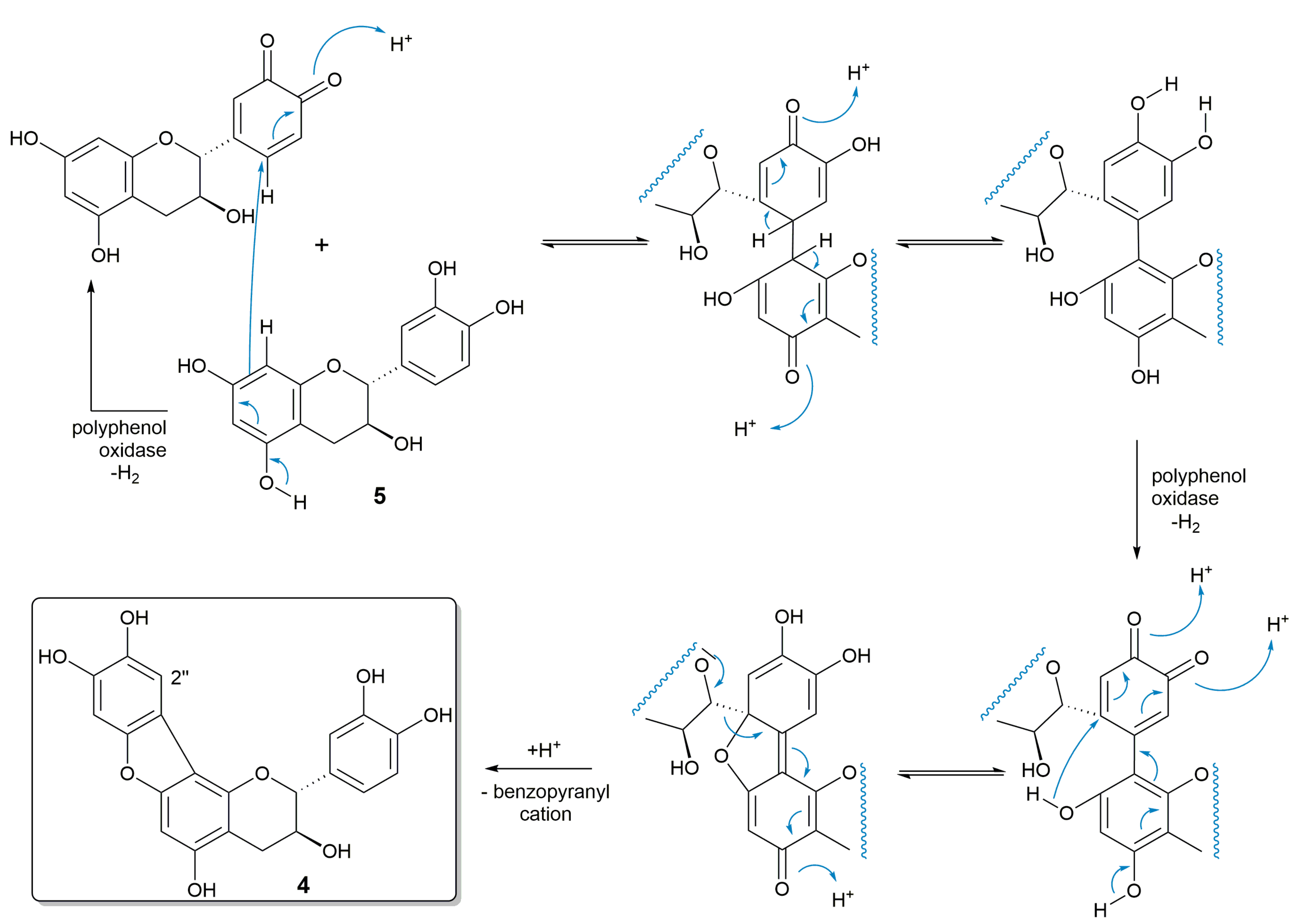 Molecules 26 01078 sch001