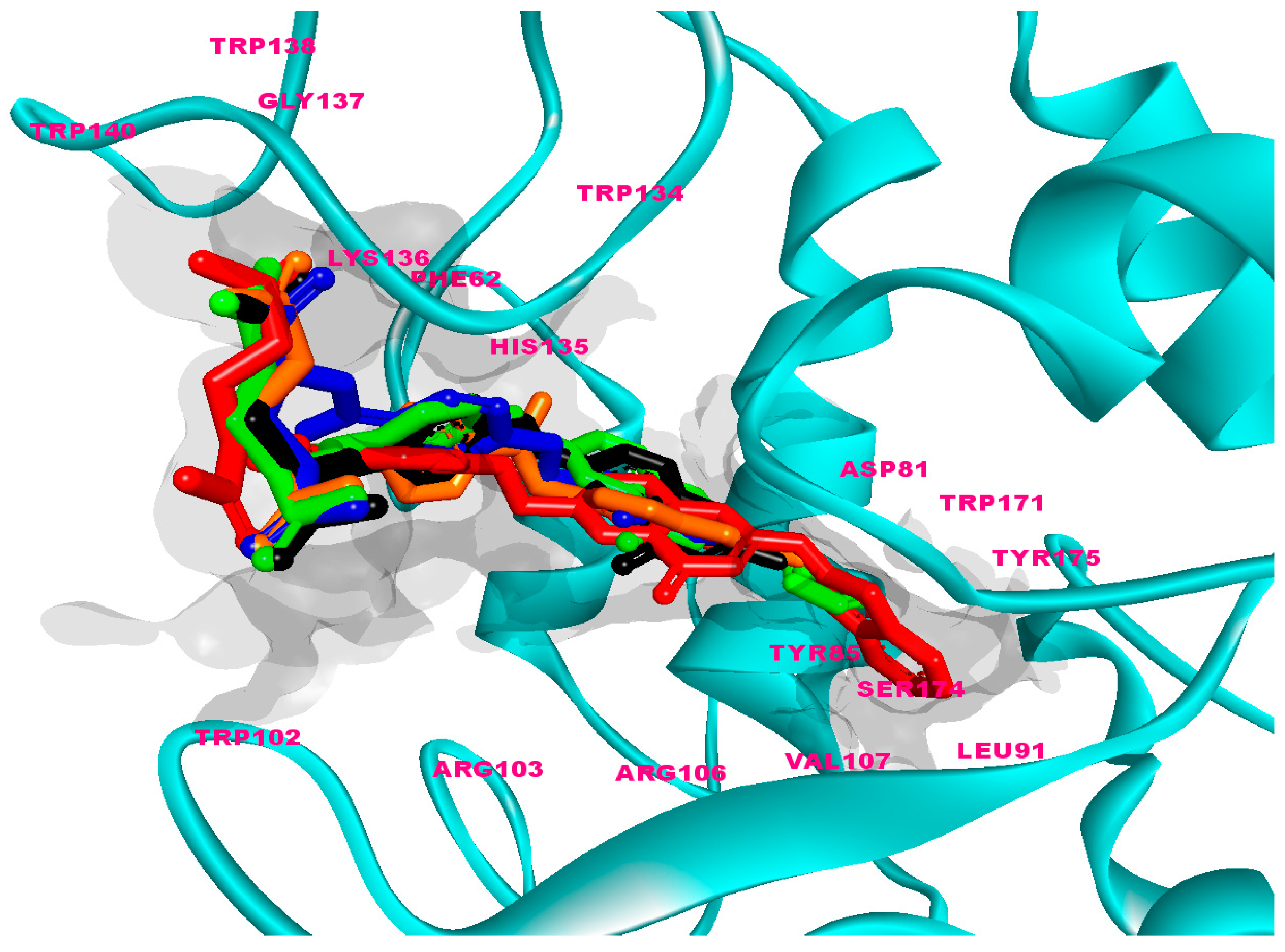 Molecules 26 01079 g004 Molecules 26 01079 g004