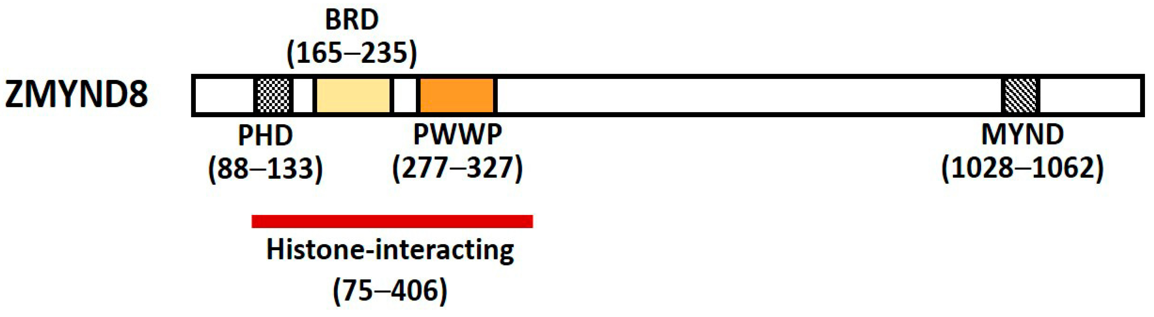 Molecules 26 01083 g001
