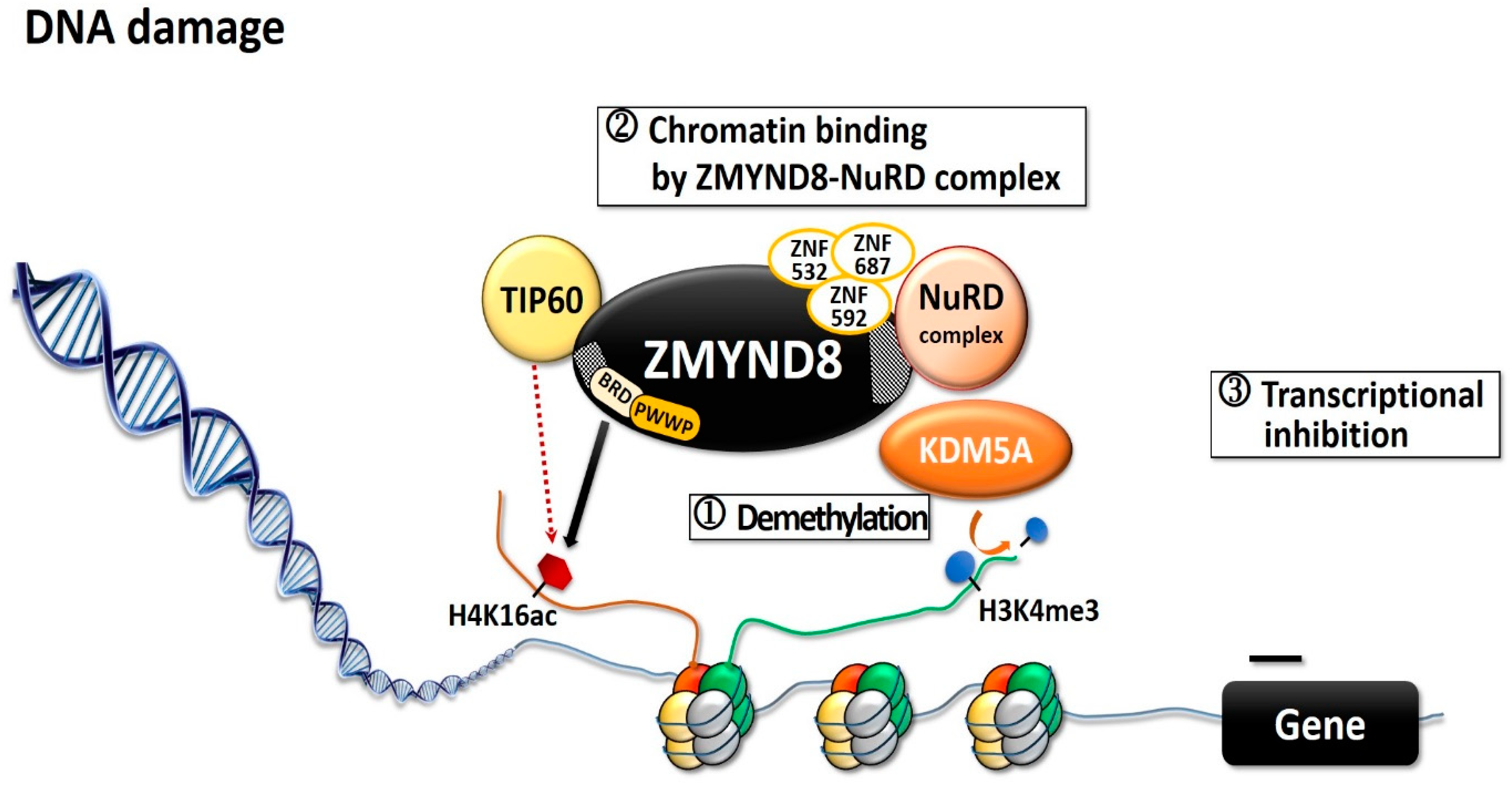 Molecules 26 01083 g002
