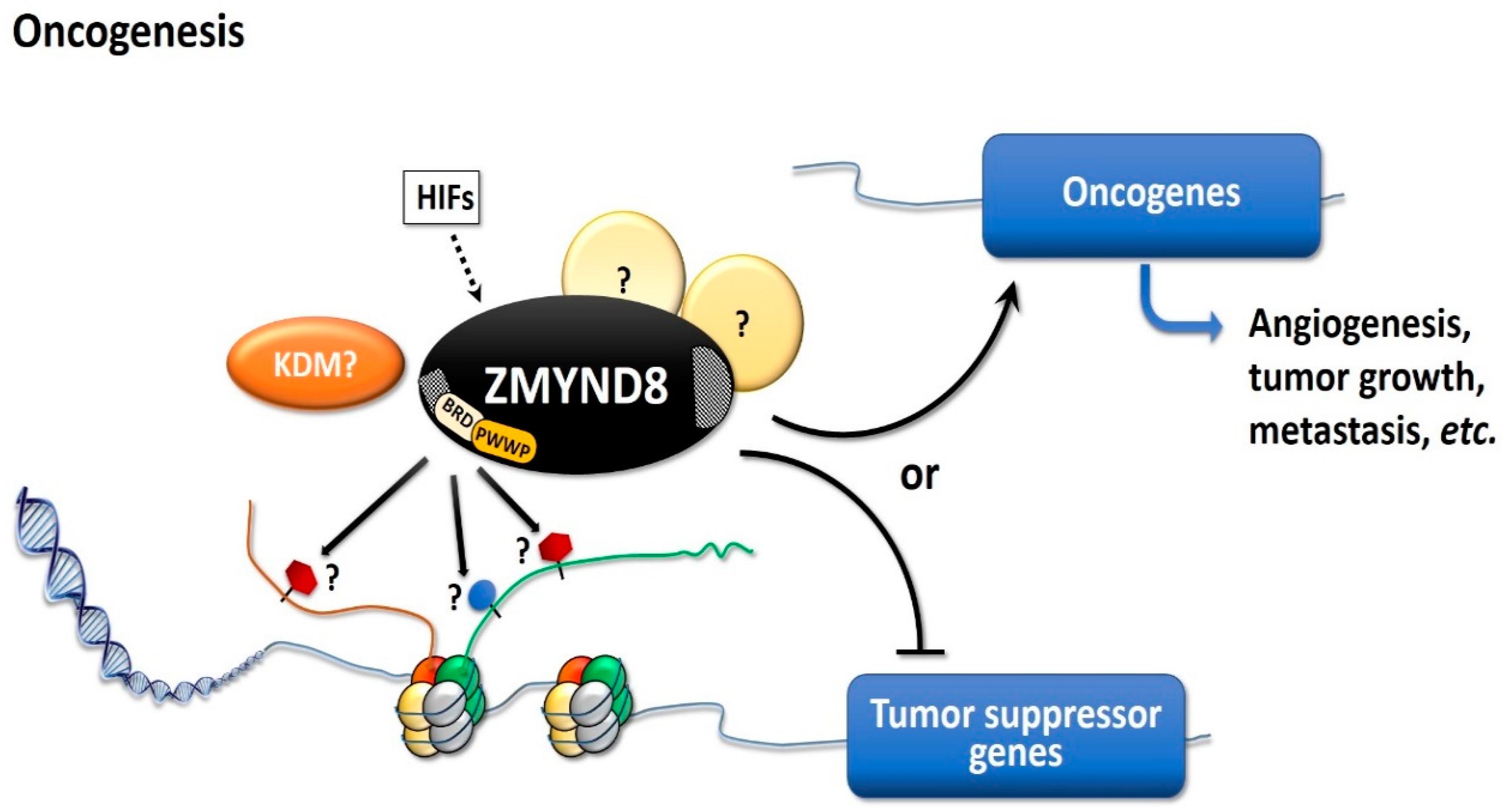 Molecules 26 01083 g004