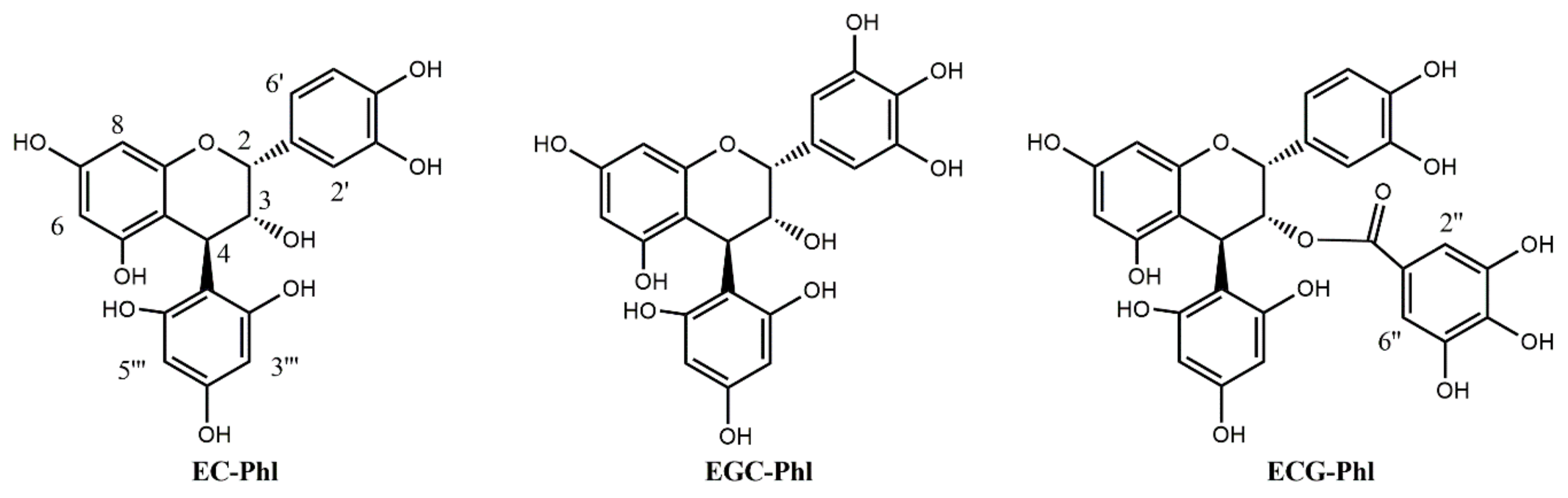 Molecules 26 01087 g003 Molecules 26 01087 g003