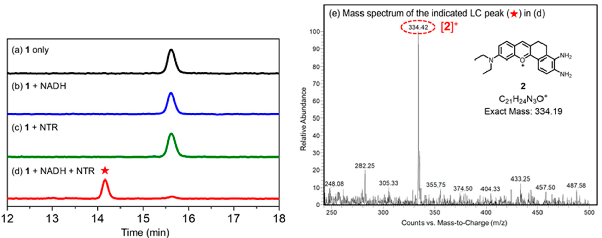 Molecules 26 01088 g001 Molecules 26 01088 g001