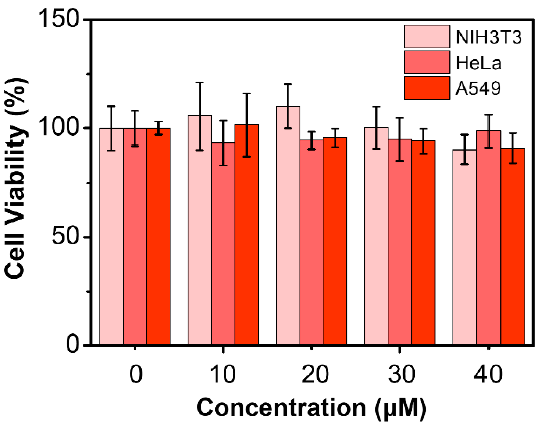 Molecules 26 01088 g004 Molecules 26 01088 g004