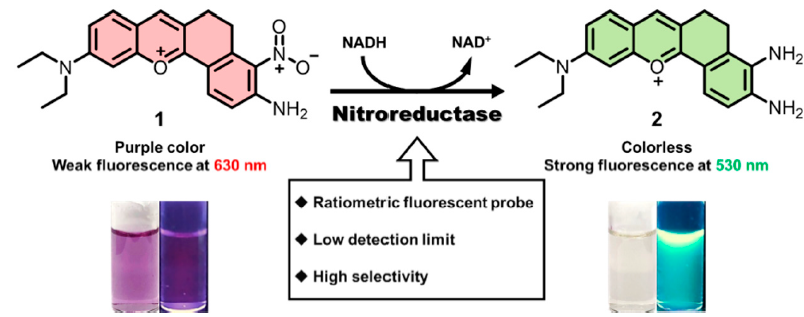 Molecules 26 01088 sch001 Molecules 26 01088 sch001