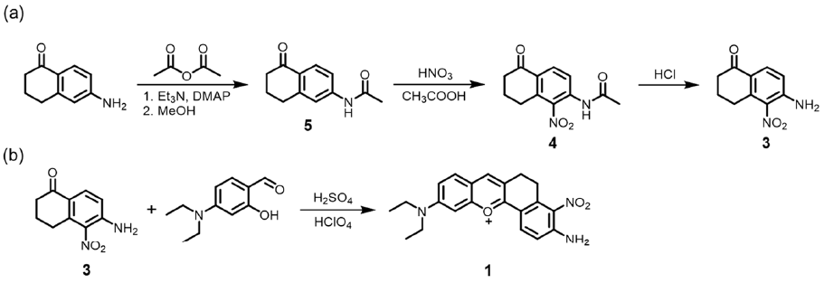 Molecules 26 01088 sch002 Molecules 26 01088 sch002