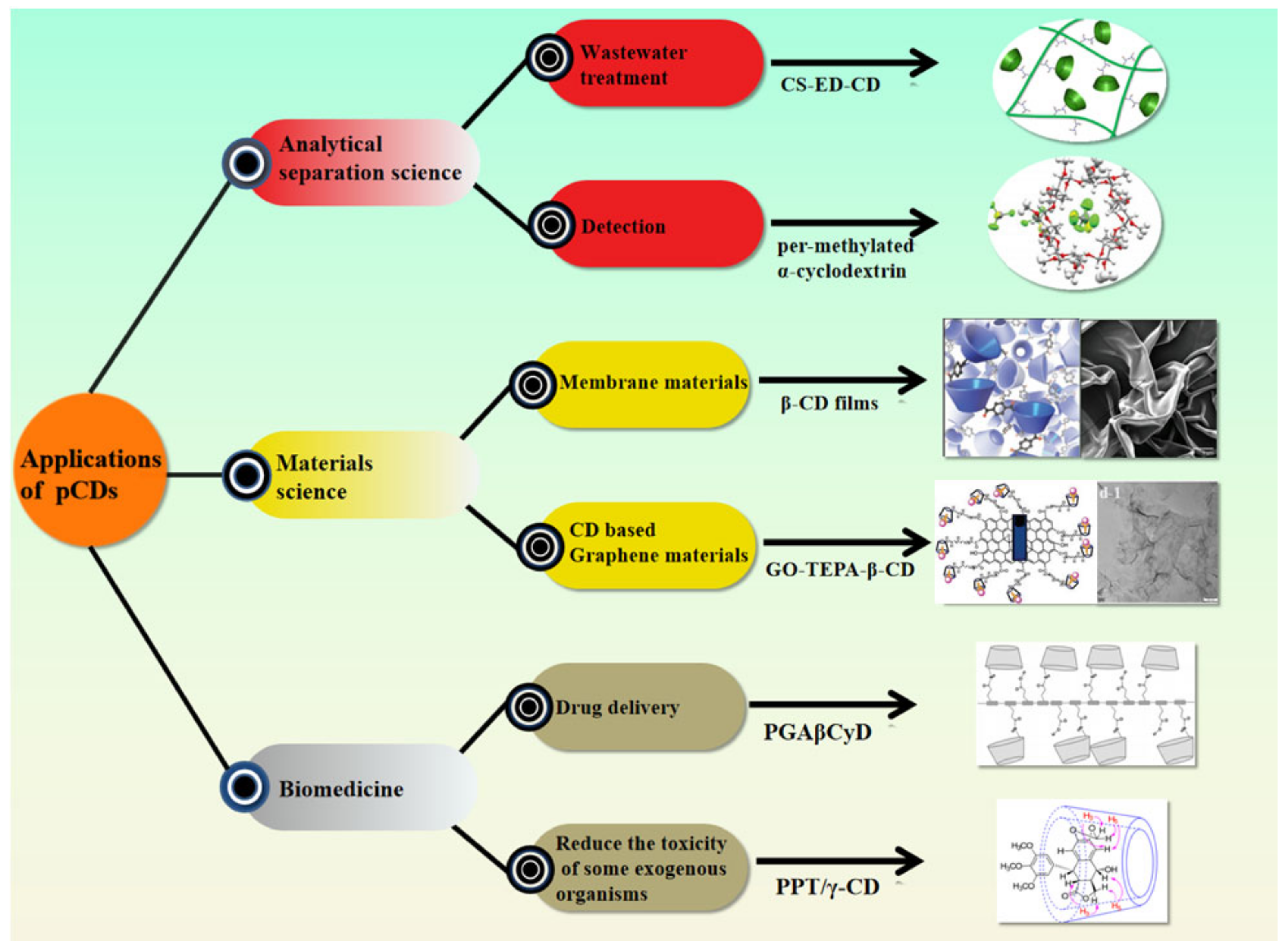 Molecules 26 01090 g002 Molecules 26 01090 g002