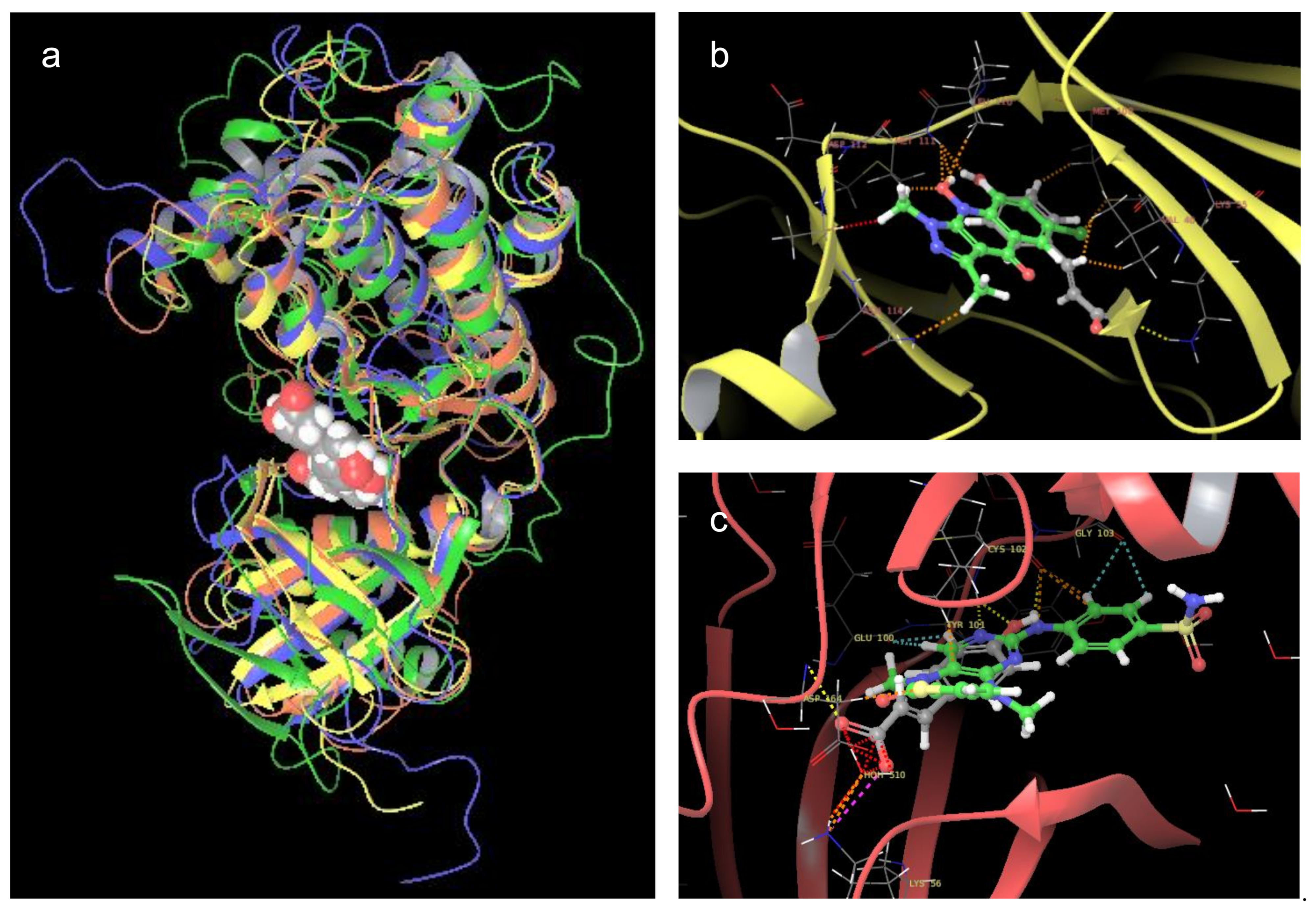 Molecules 26 01096 g001 Molecules 26 01096 g001
