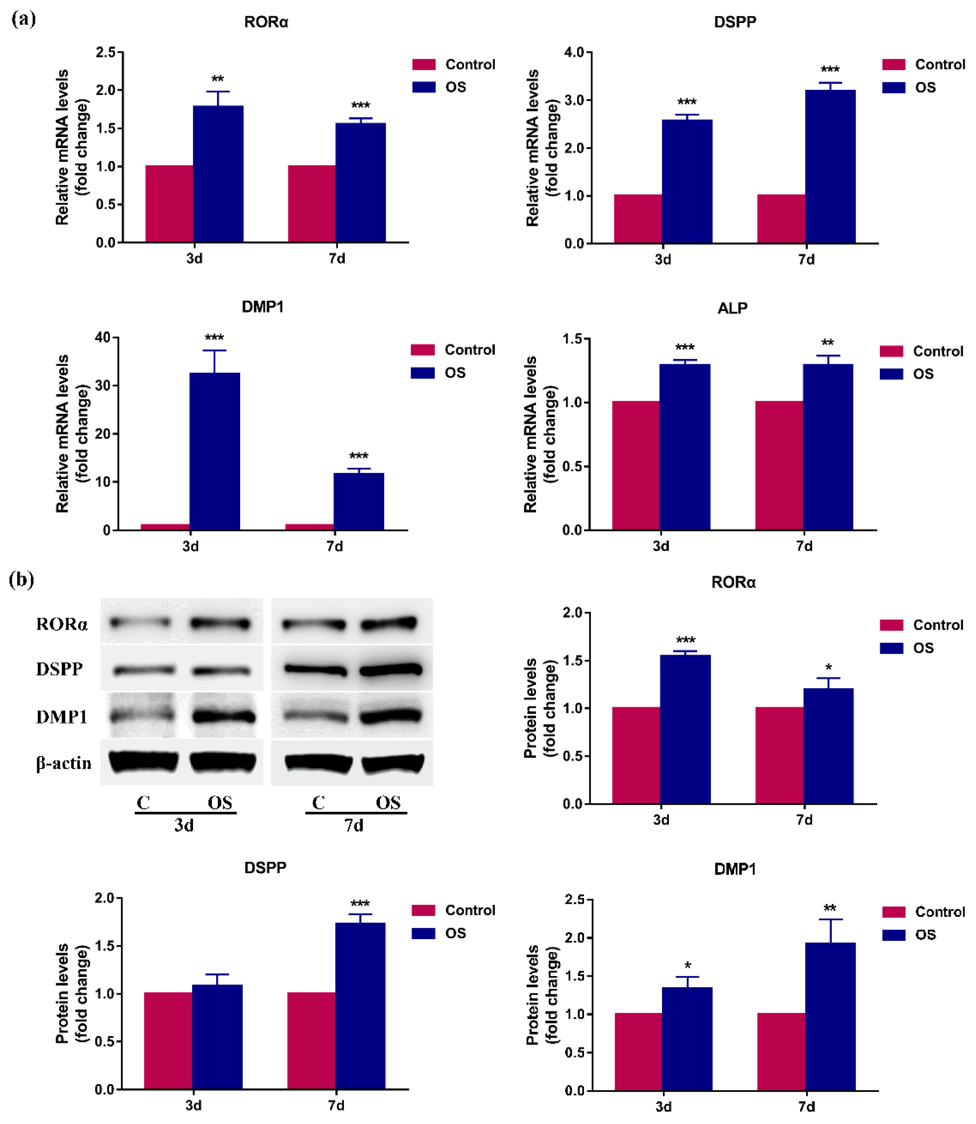Molecules 26 01098 g002 Molecules 26 01098 g002