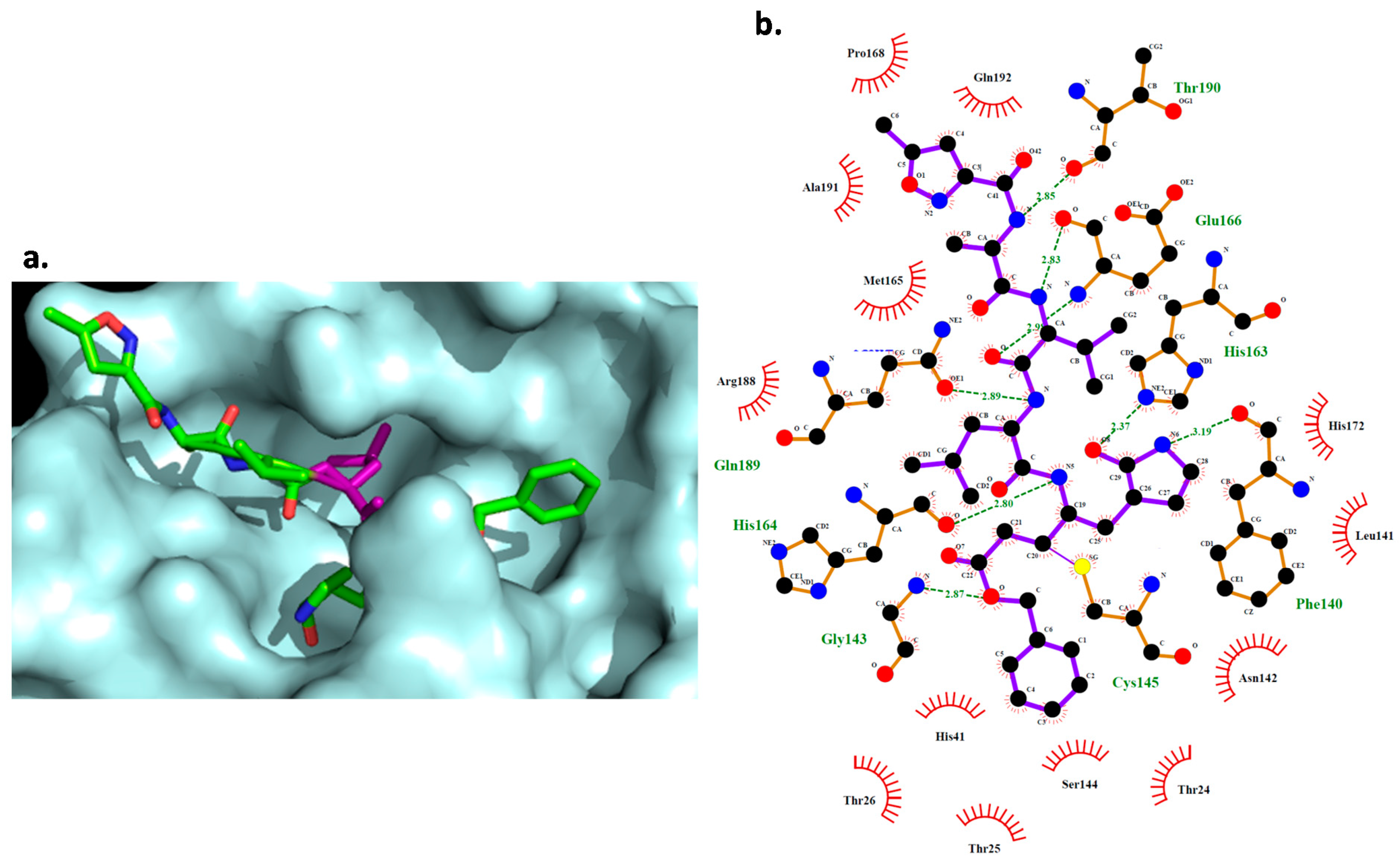 Molecules 26 01100 g006 Molecules 26 01100 g006