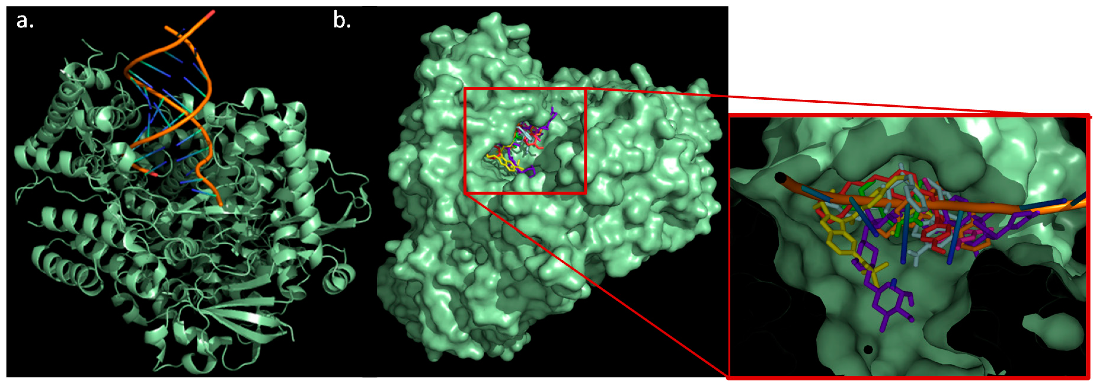 Molecules 26 01100 g008 Molecules 26 01100 g008