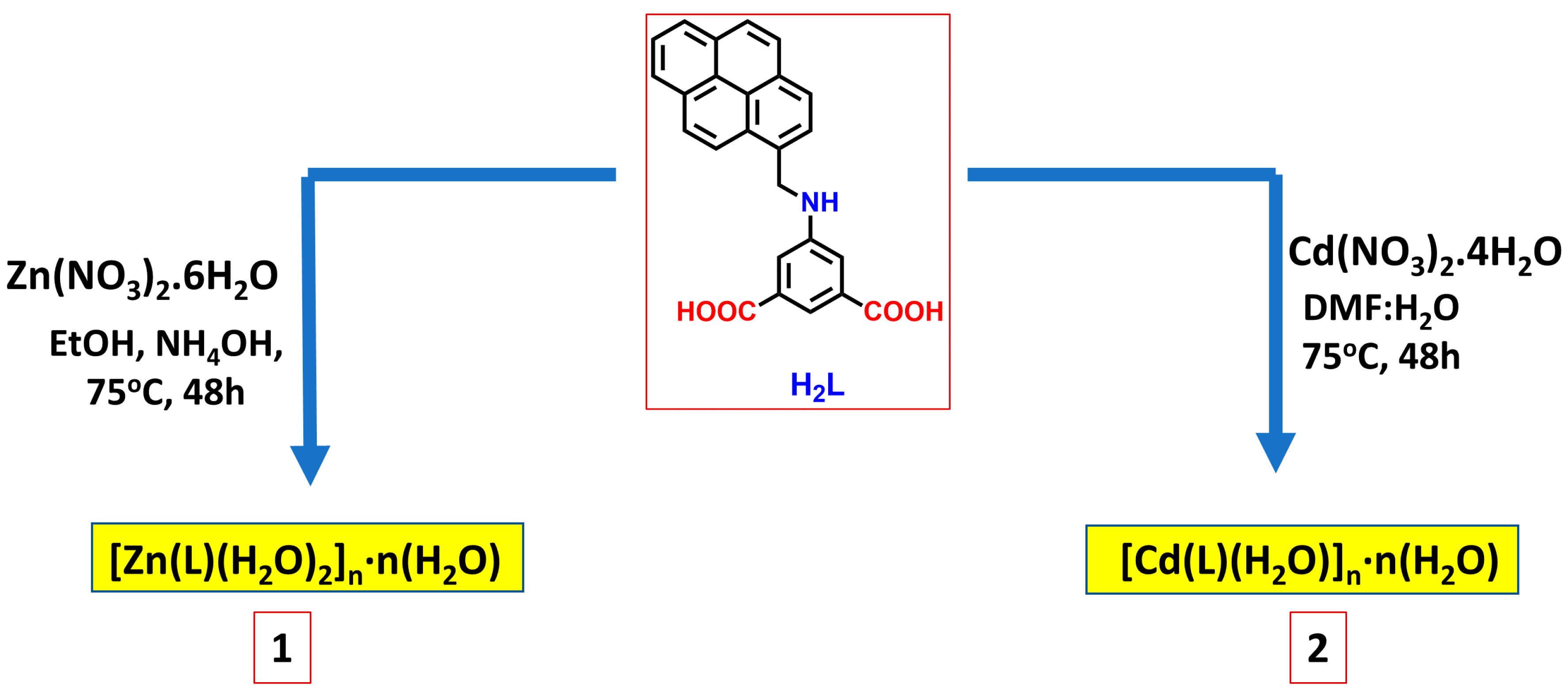 Molecules 26 01101 g001 Molecules 26 01101 g001