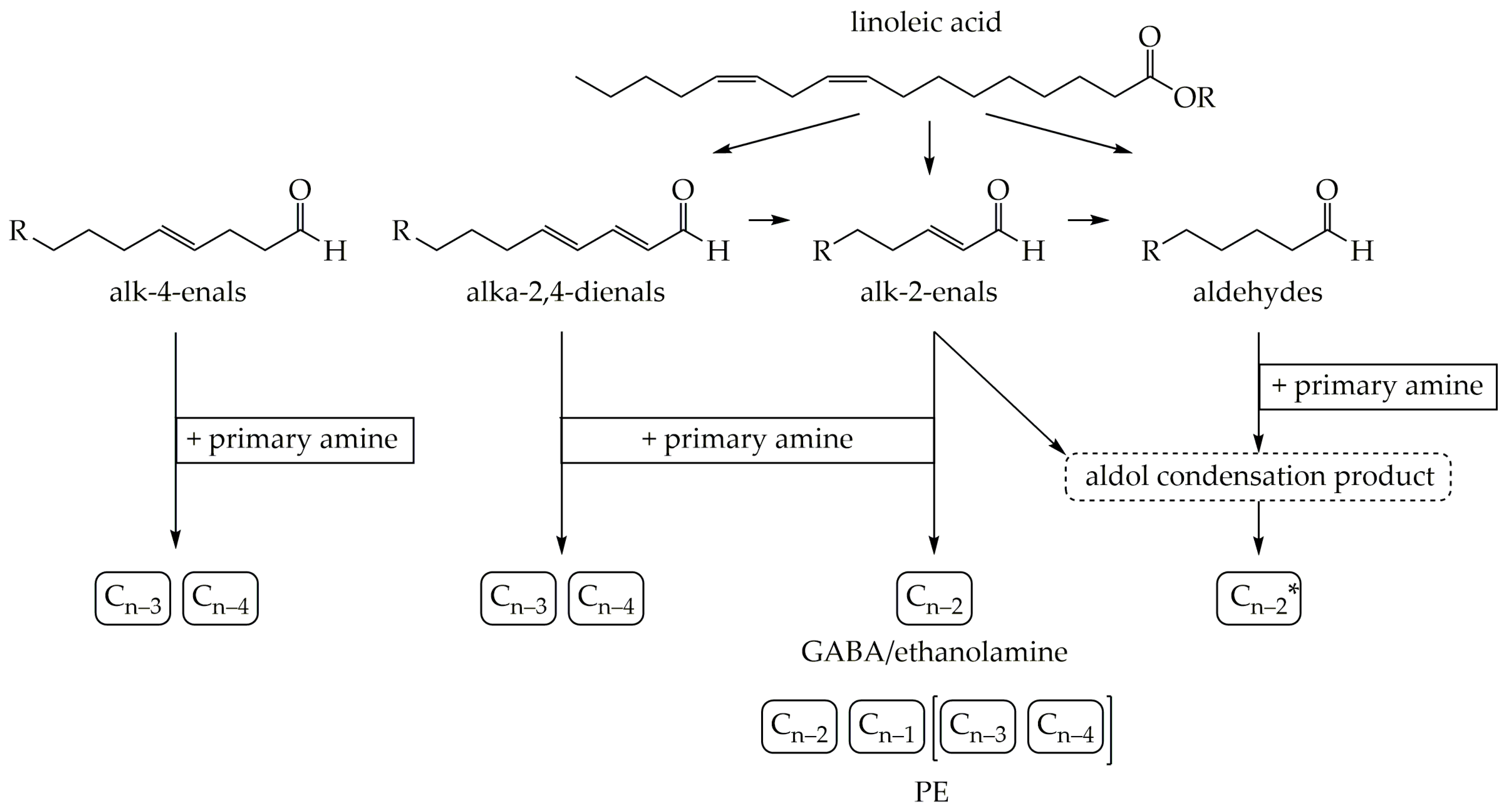 Molecules 26 01104 g006
