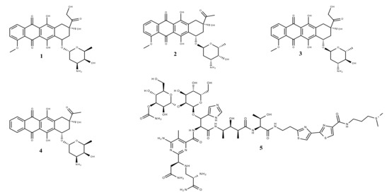 Plant-Derived Anticancer Compounds as New Perspectives in