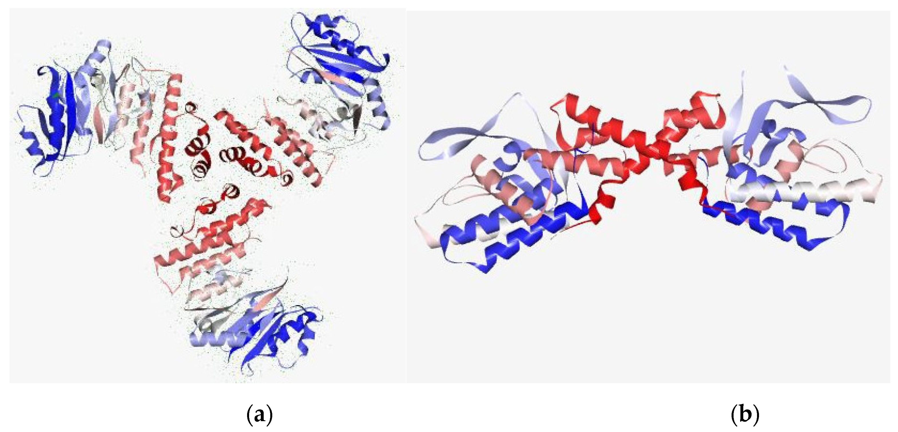 Molecules 26 01114 g004 Molecules 26 01114 g004