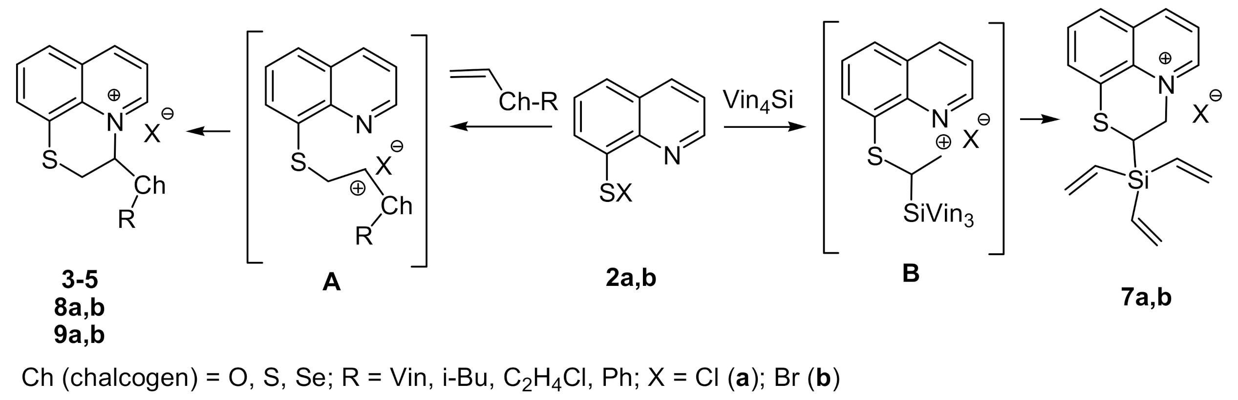 Molecules 26 01116 sch008 Molecules 26 01116 sch008