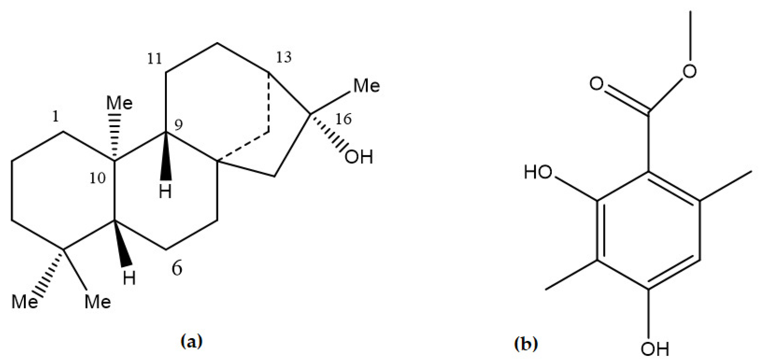 Molecules 26 01121 g003 Molecules 26 01121 g003