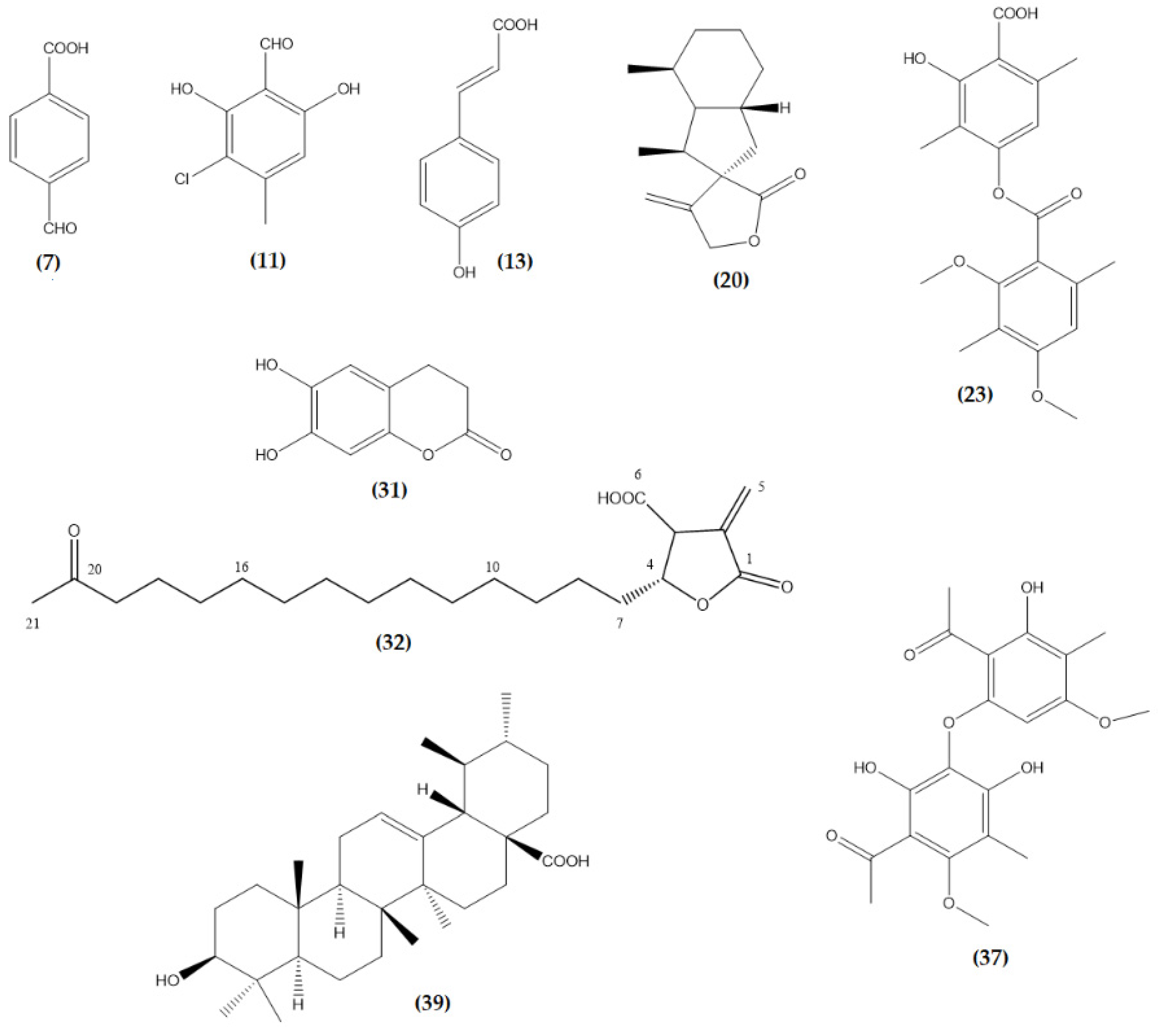 Molecules 26 01121 g005 Molecules 26 01121 g005