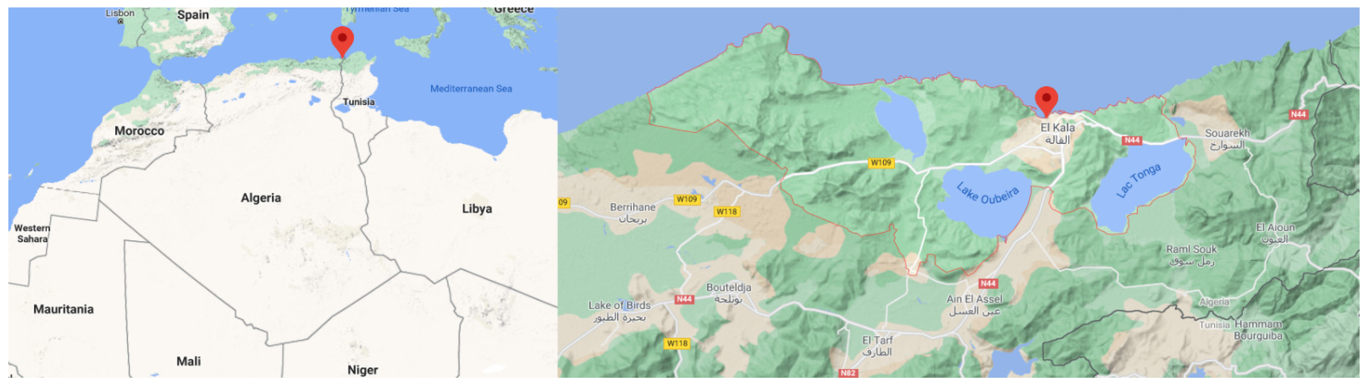 Molecules 26 01121 g007 Molecules 26 01121 g007