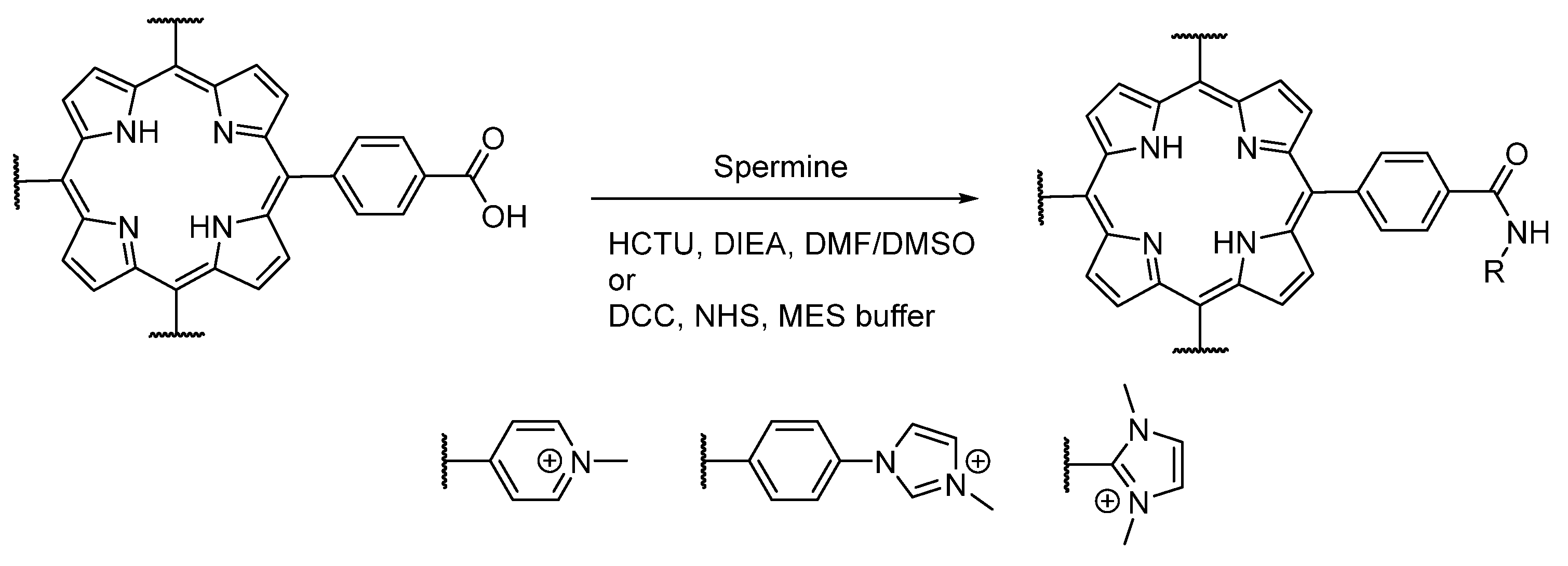 Molecules 26 01122 g002