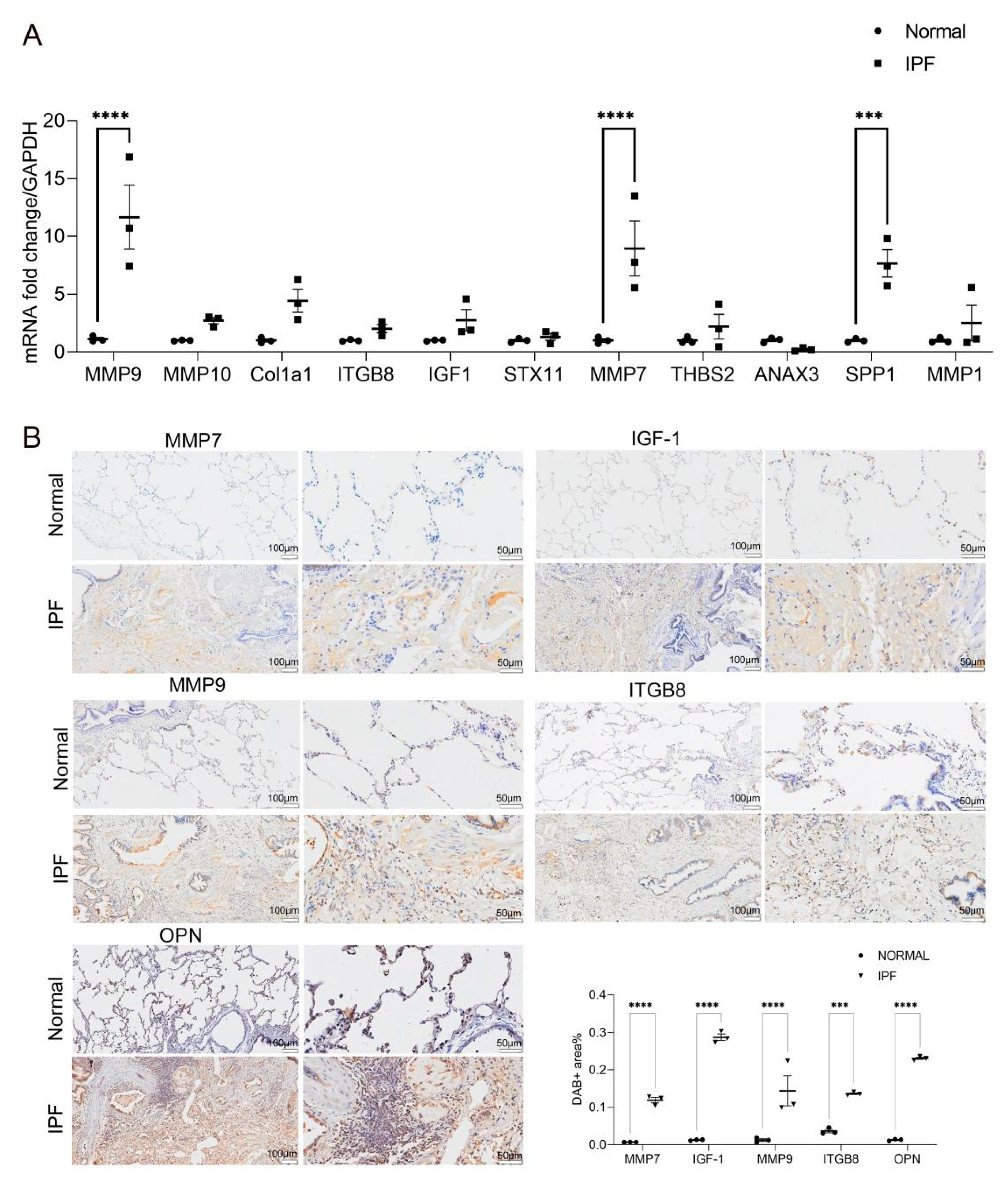 Molecules 26 01123 g004 Molecules 26 01123 g004